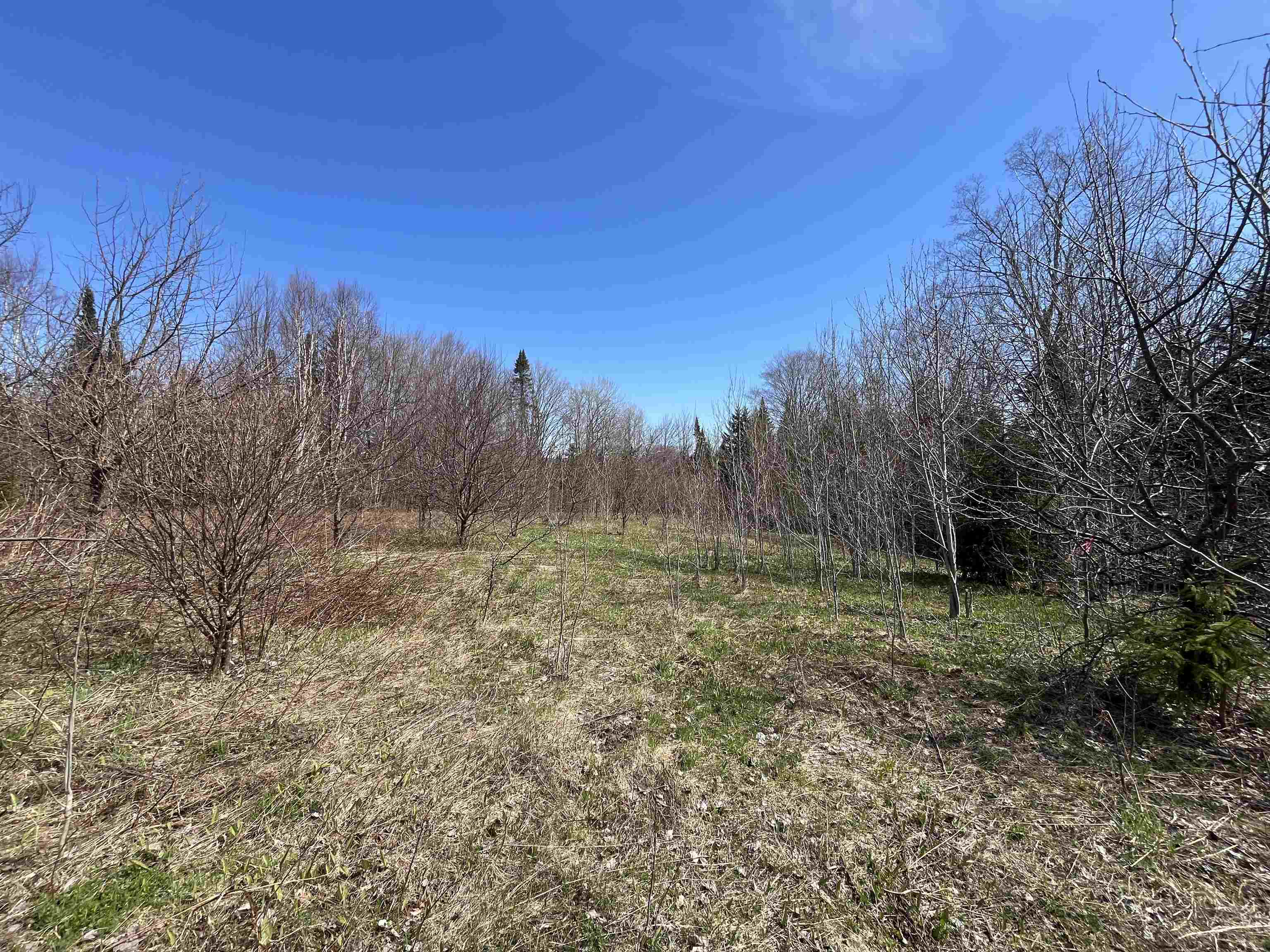 980 Coles Road Property Photo 1
