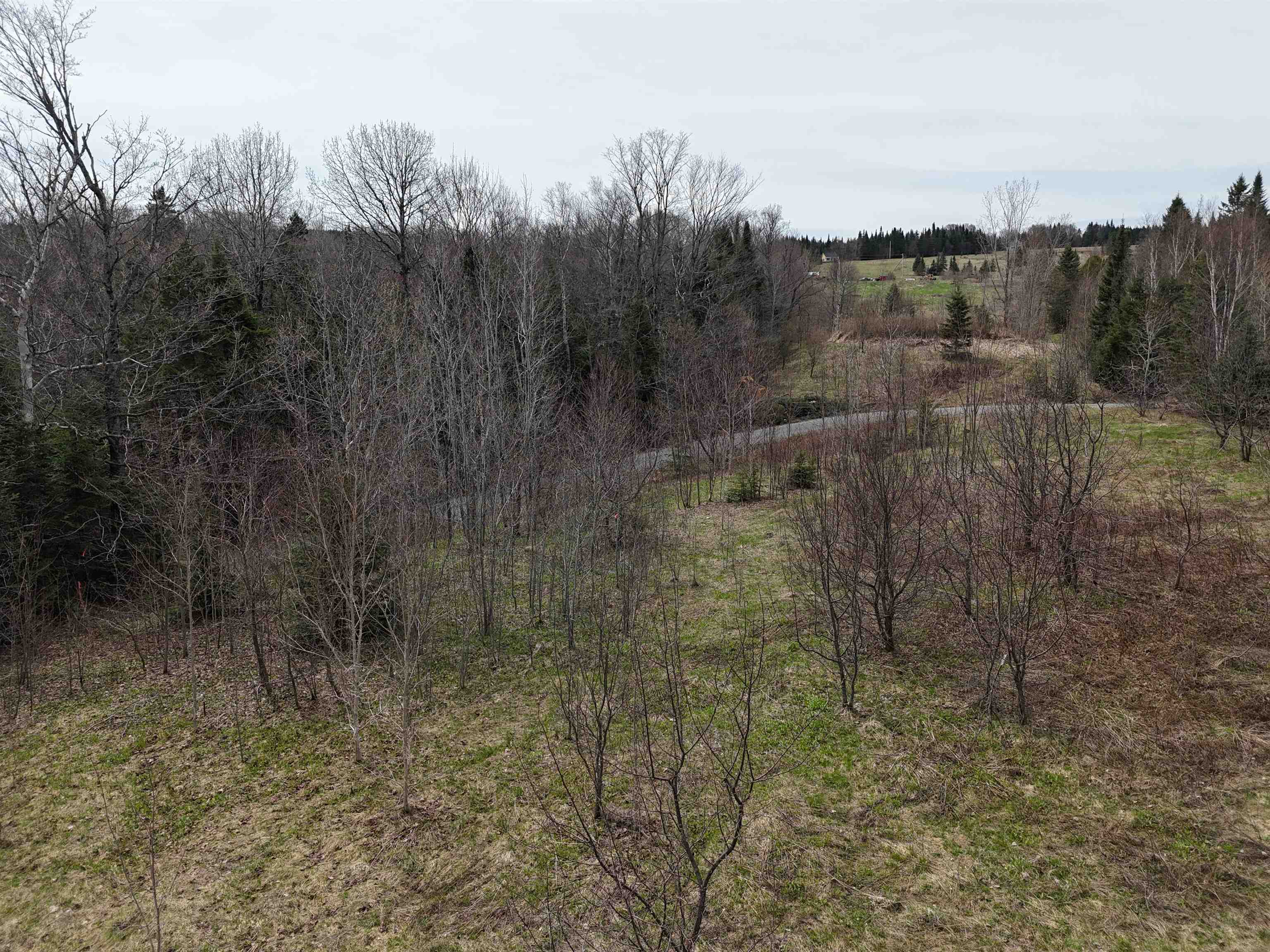 980 Coles Road Property Photo 11