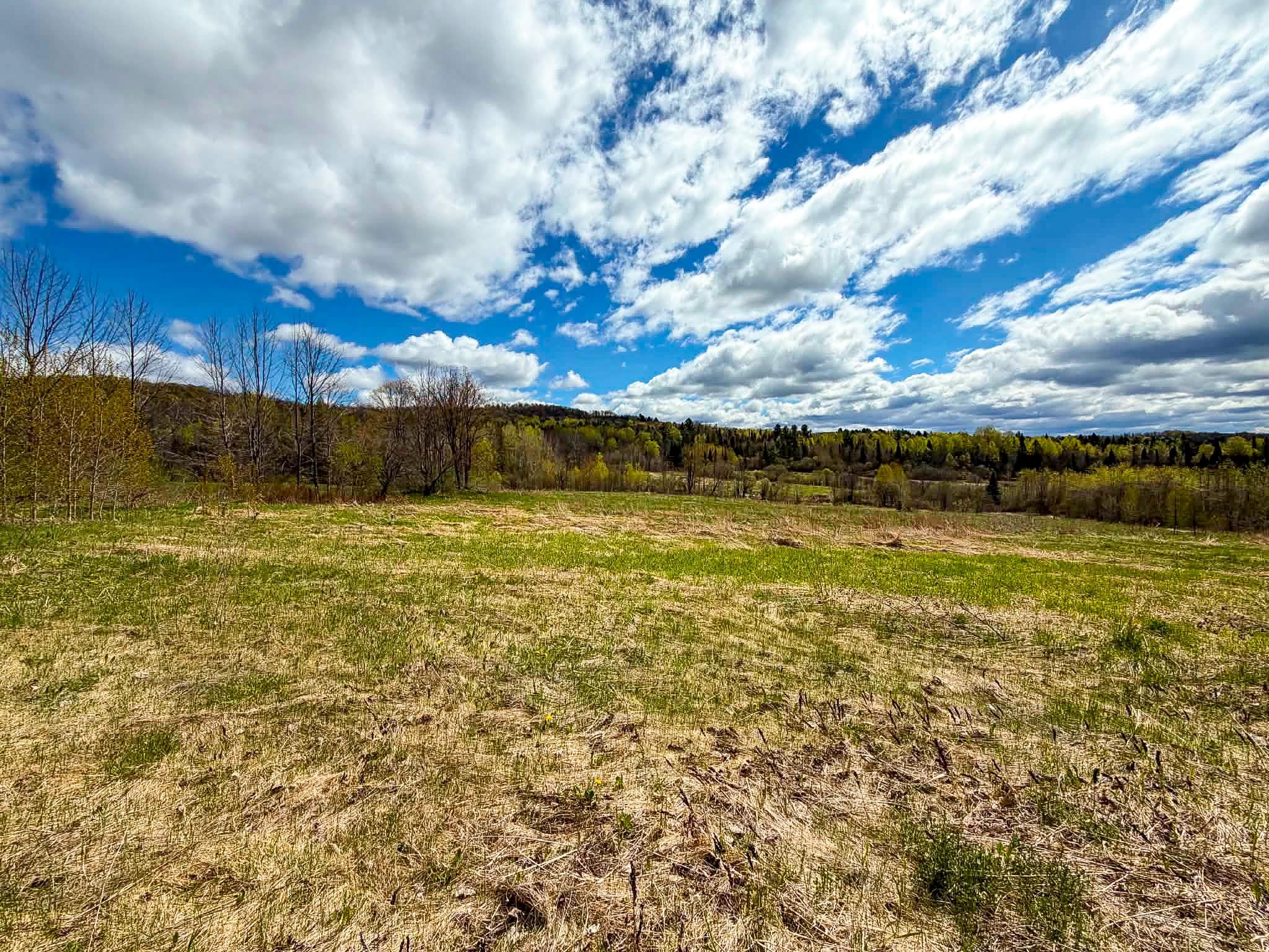 - Hinman Settler Road Property Photo 4