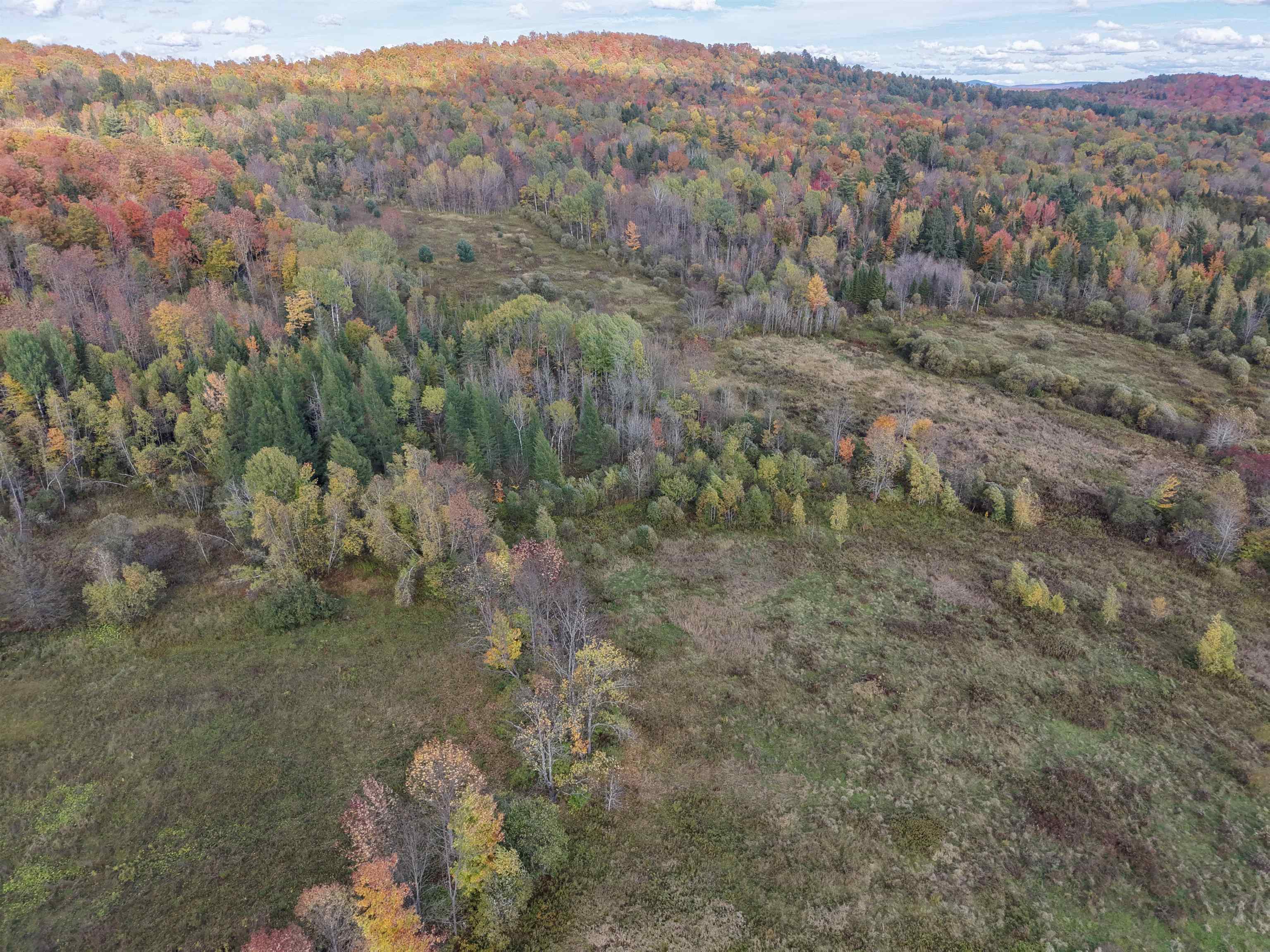 - Hinman Settler Road Property Photo 9
