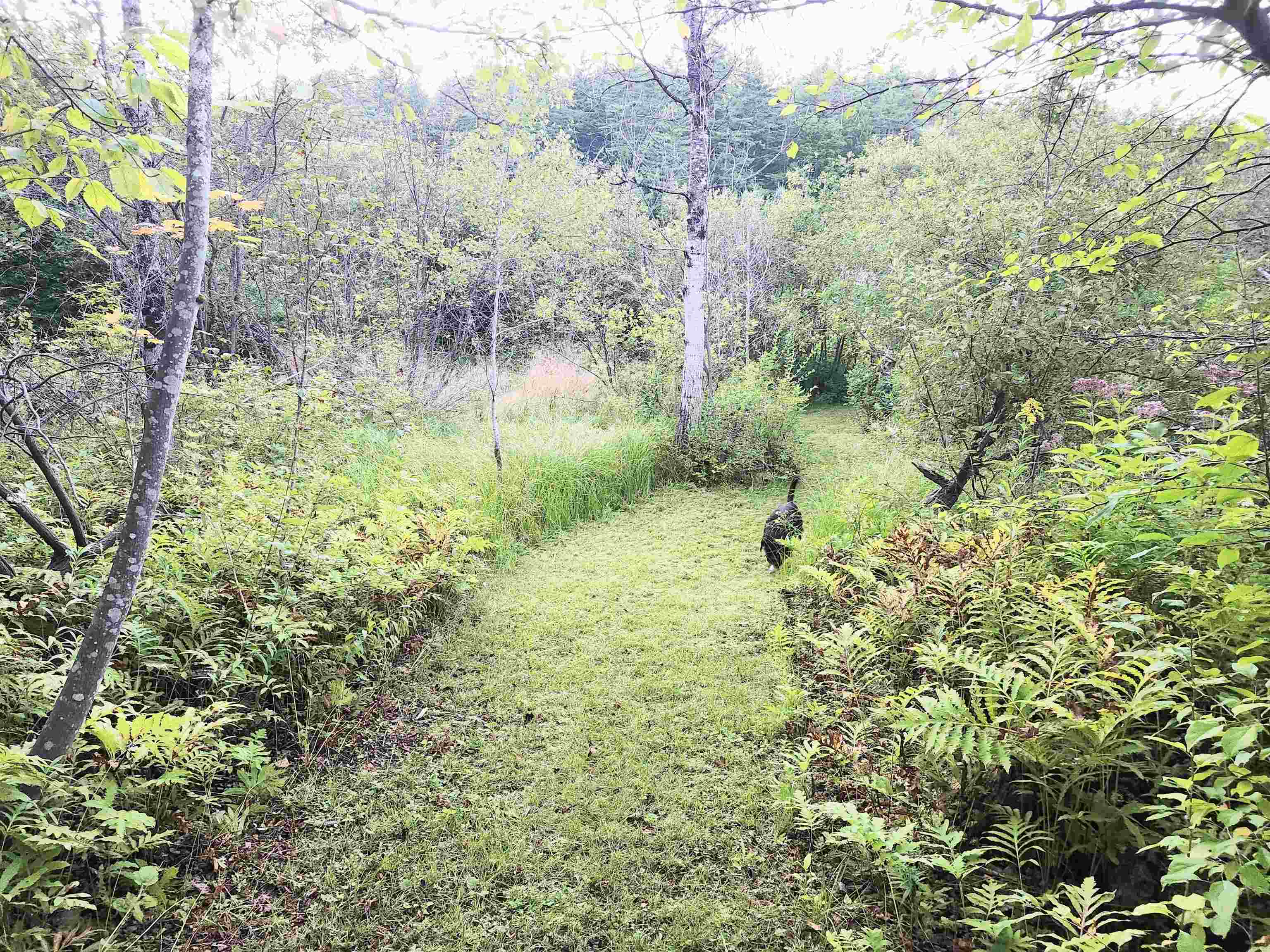 1292 Us Route 2 Property Photo 15