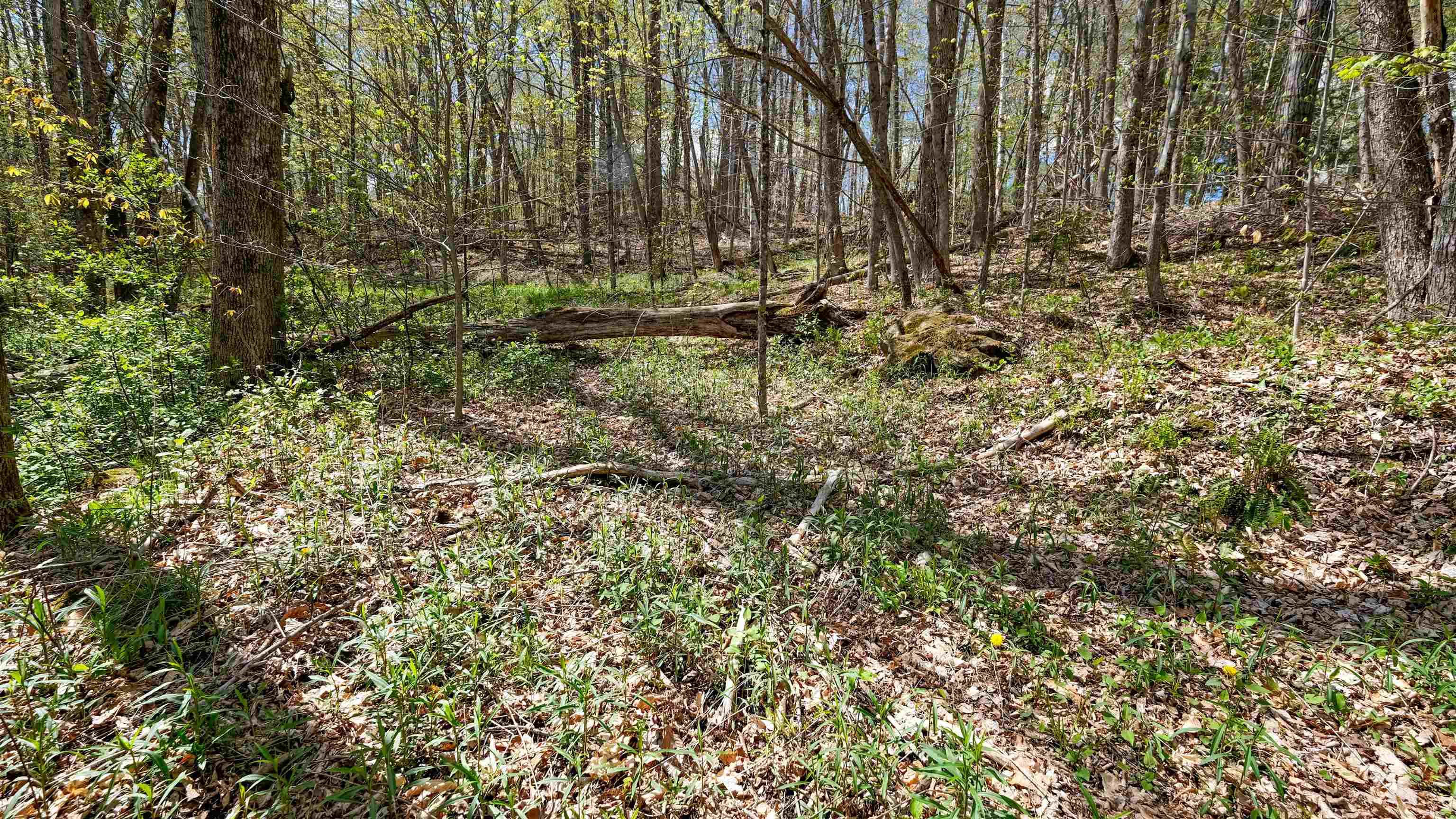 269 Hawkins Road Property Photo 5
