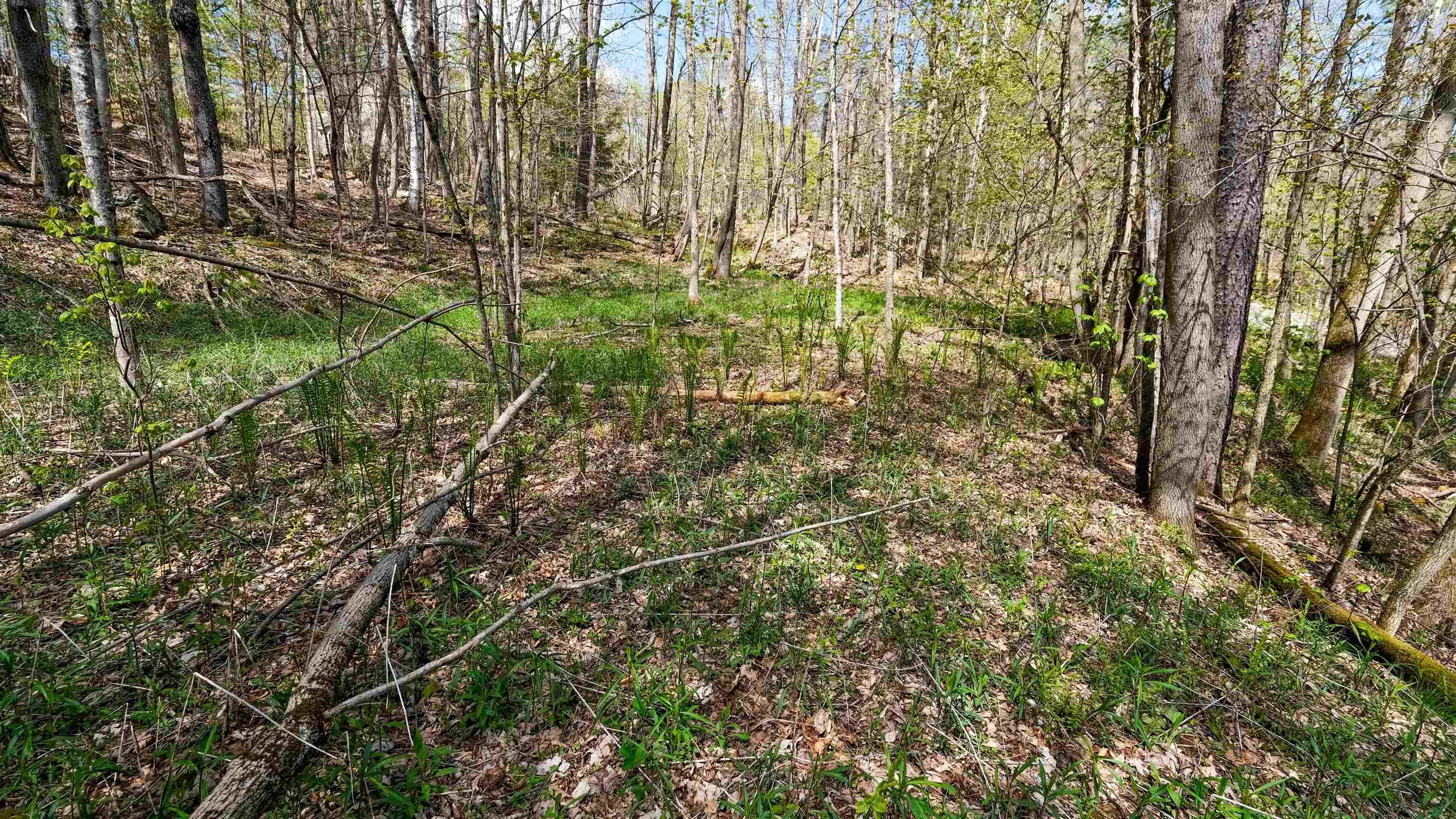269 Hawkins Road Property Photo 10
