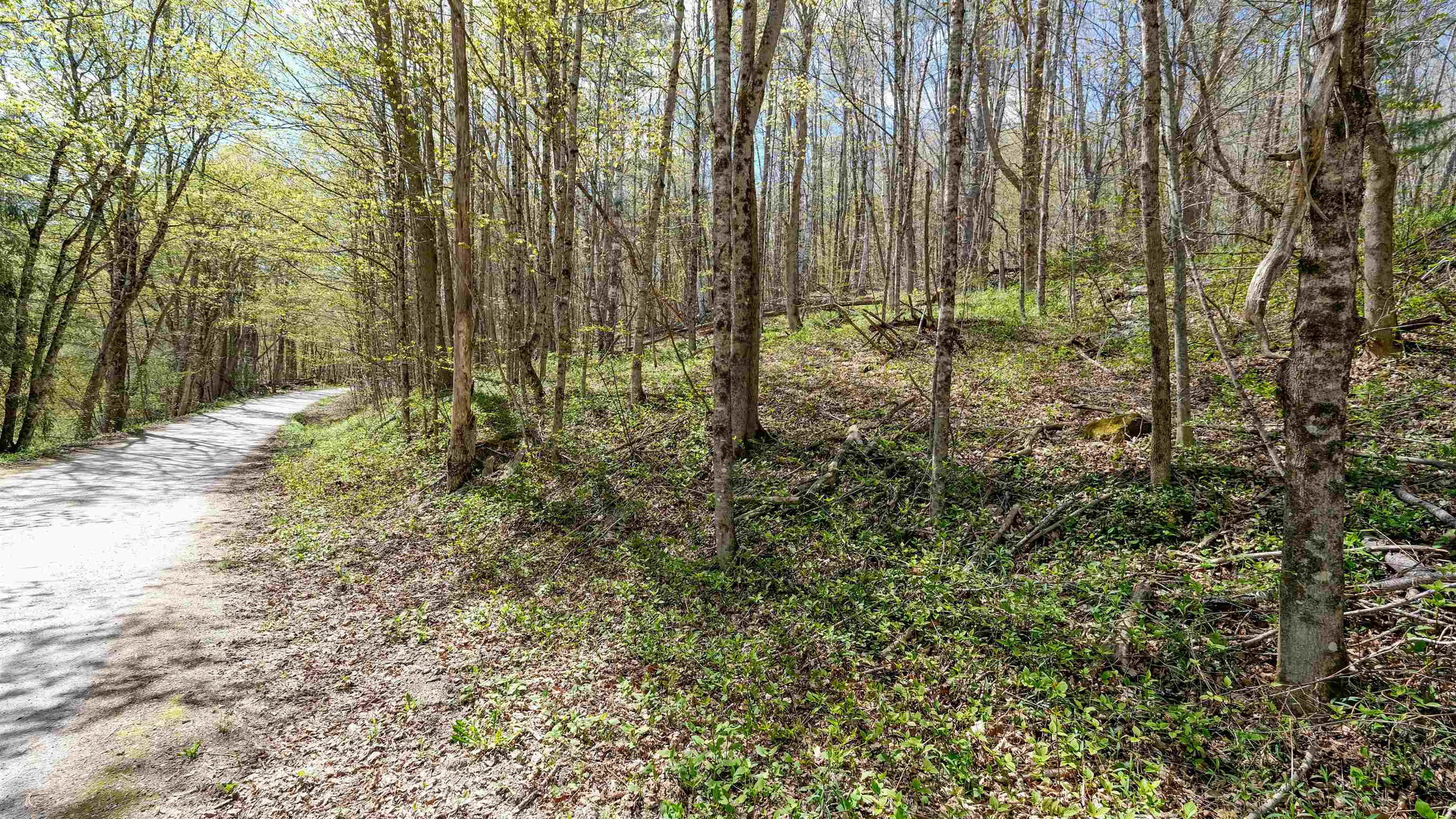 269 Hawkins Road Property Photo 16