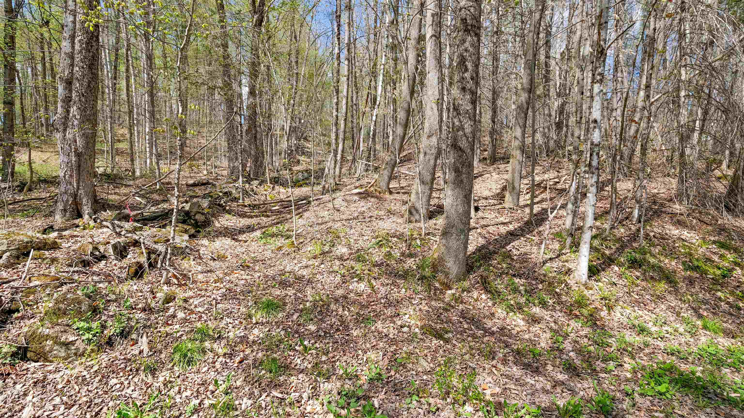 269 Hawkins Road Property Photo 18