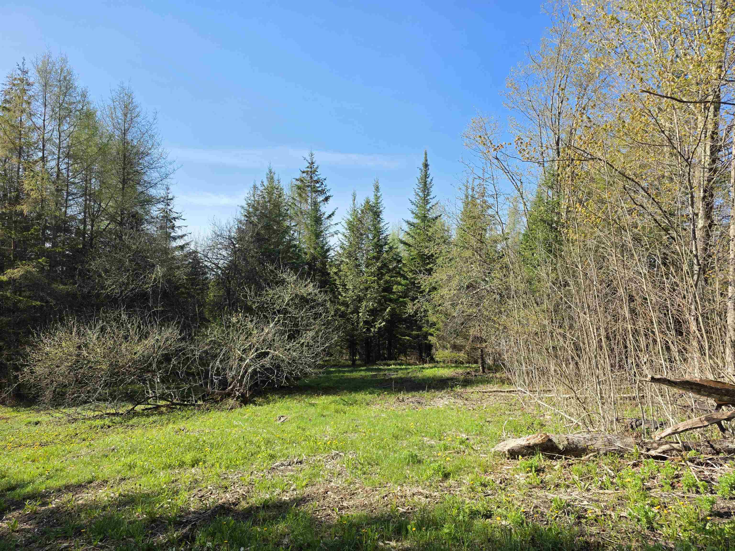 00 Old Coach Road Property Photo 6