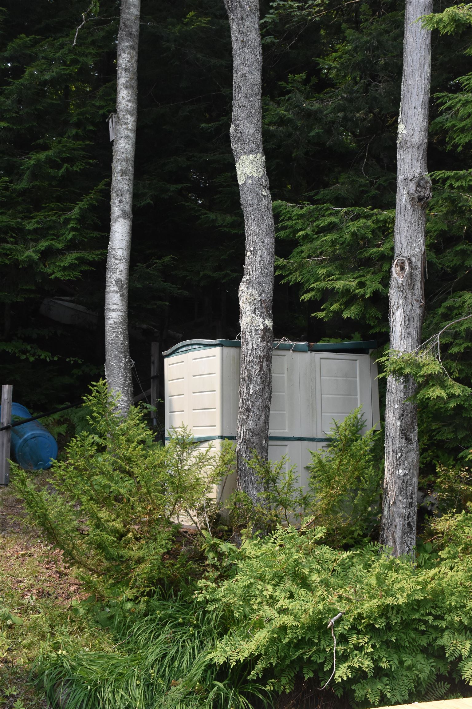 195 Meadow Lane Property Photo 33