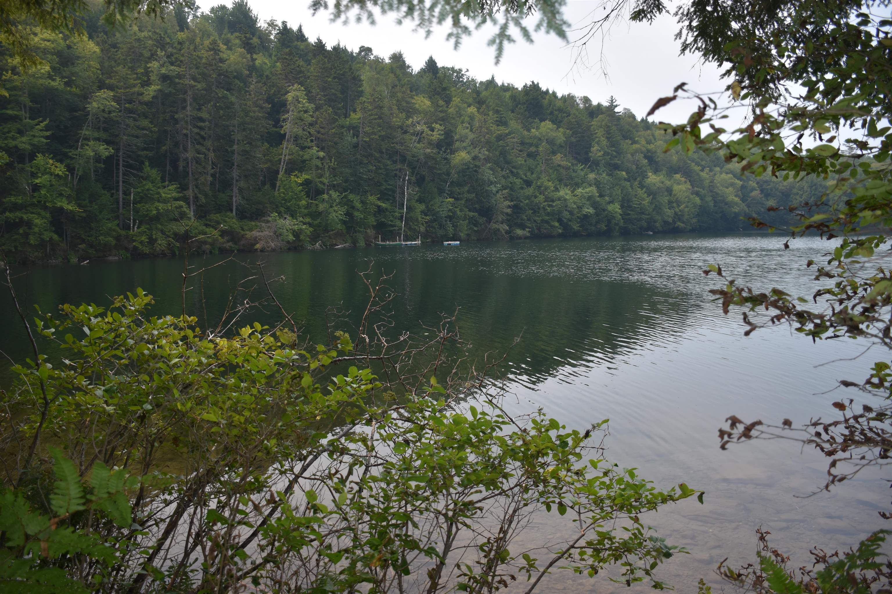 195 Meadow Lane Property Photo 37