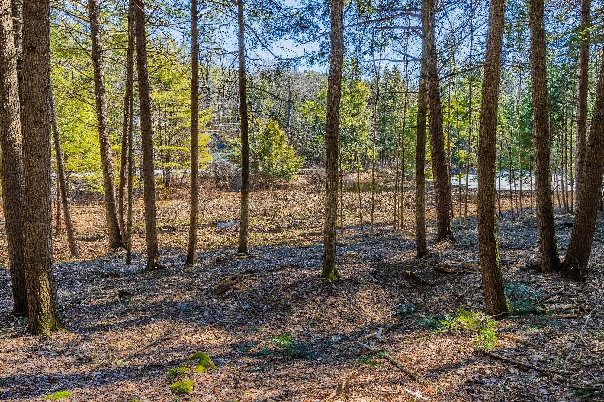5209 Willard Road Property Photo 5