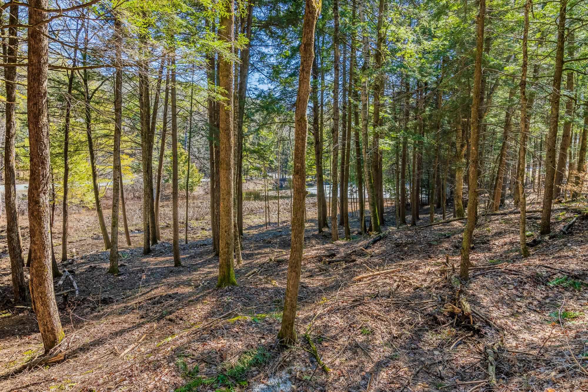 5209 Willard Road Property Photo 6