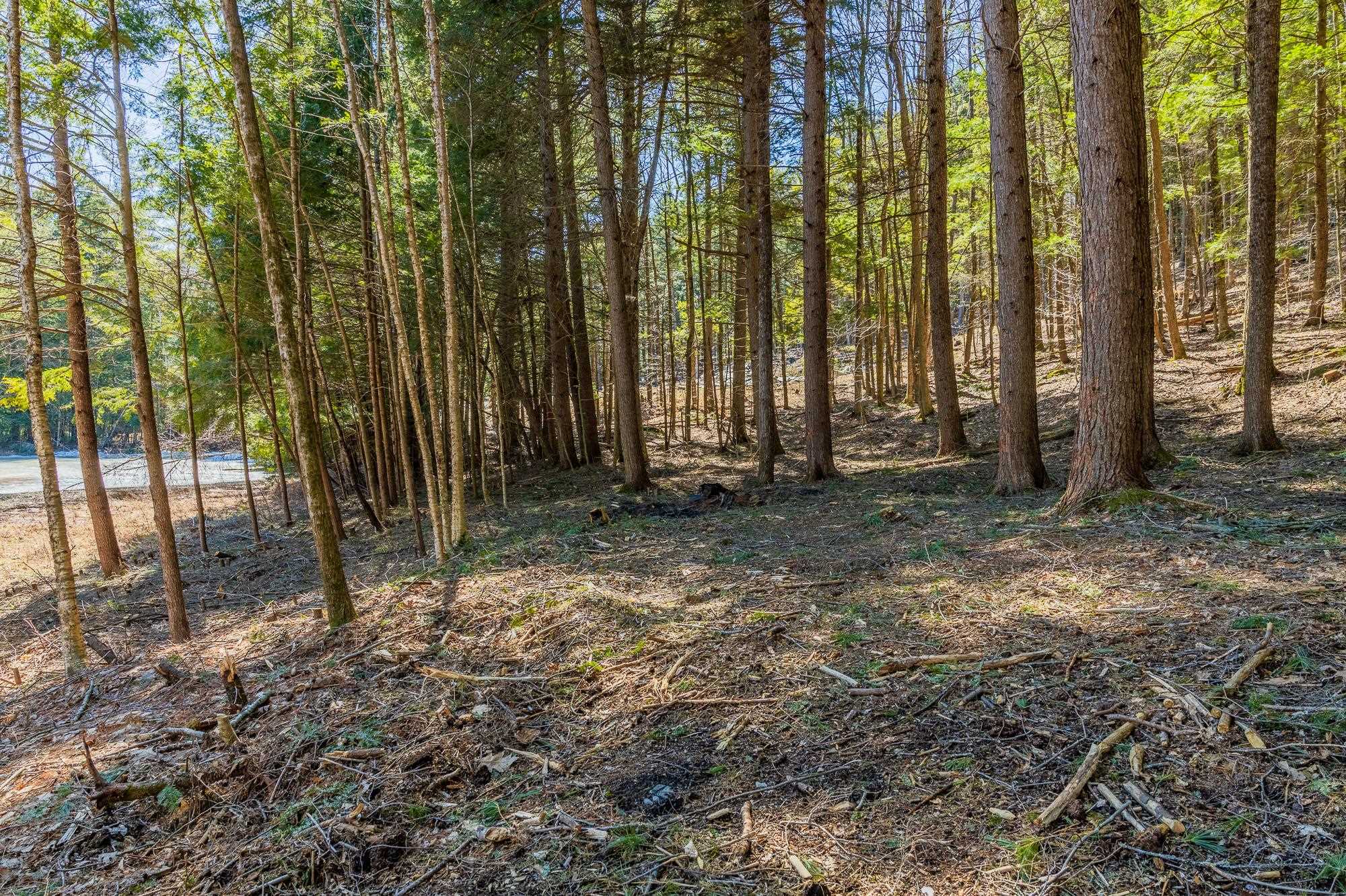5209 Willard Road Property Photo 7
