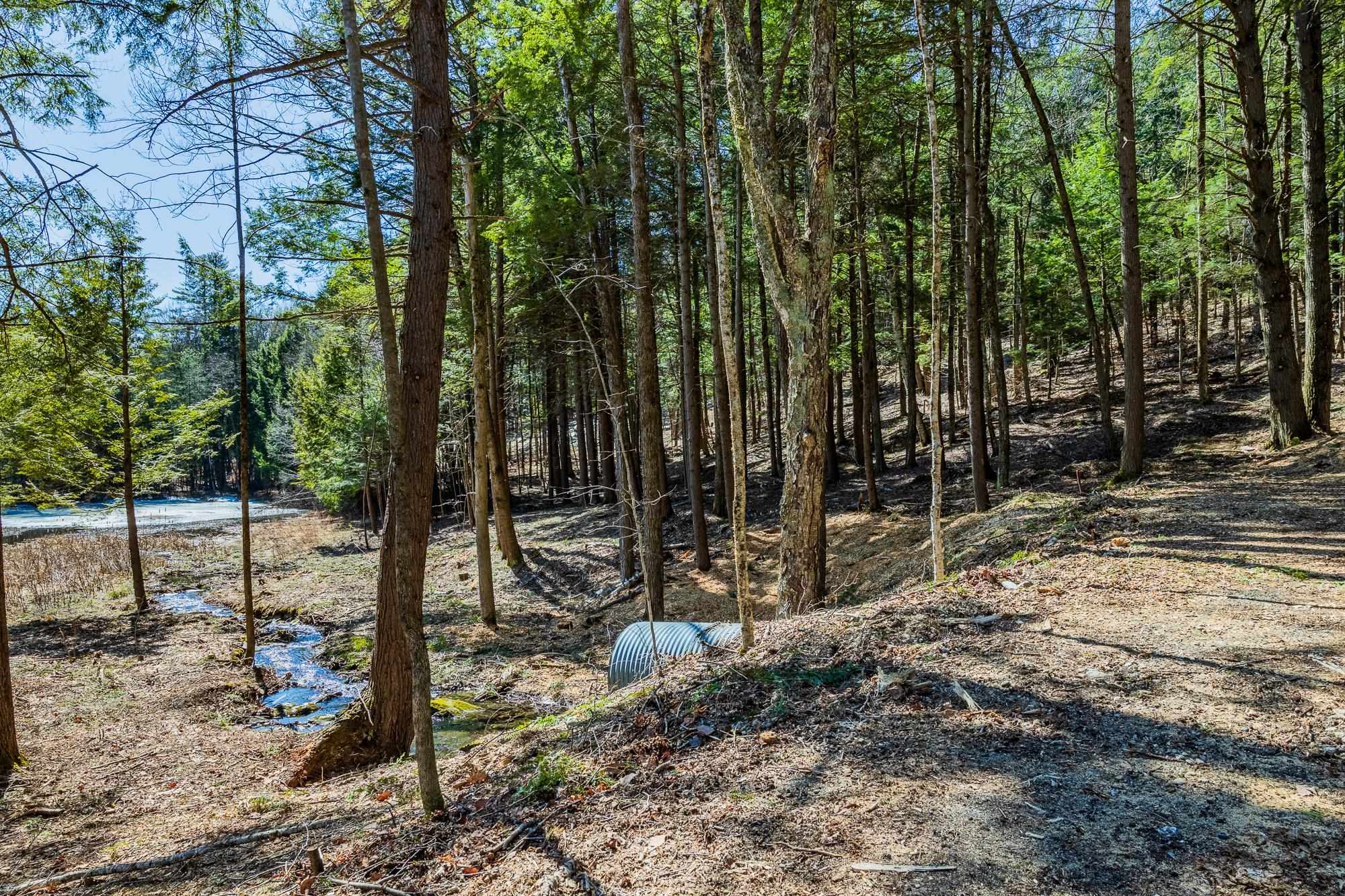 5209 Willard Road Property Photo 10