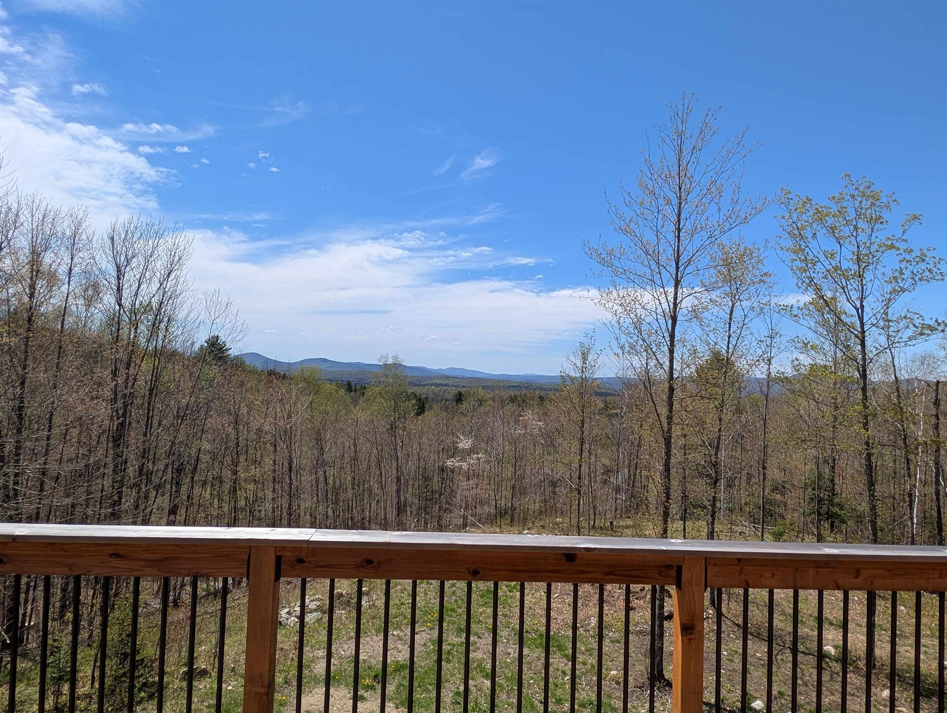 869 Lost Nation Road Property Photo 37