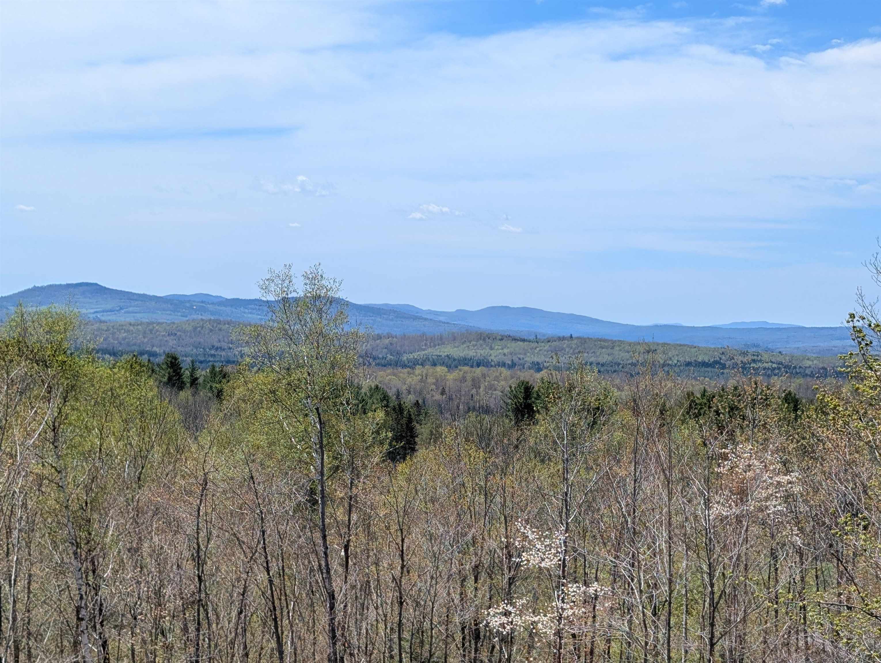 869 Lost Nation Road Property Photo 38