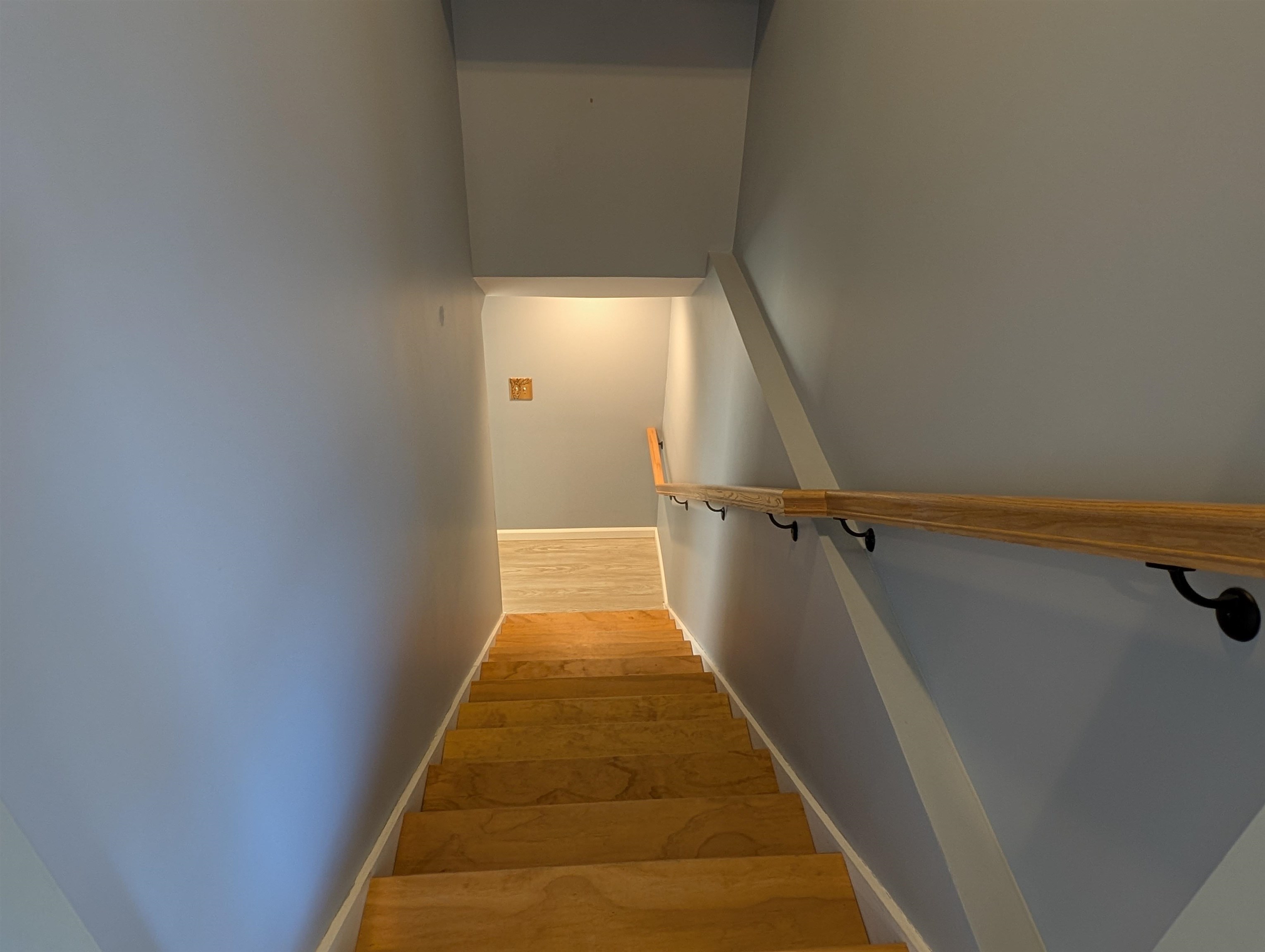 869 Lost Nation Road Property Photo 42