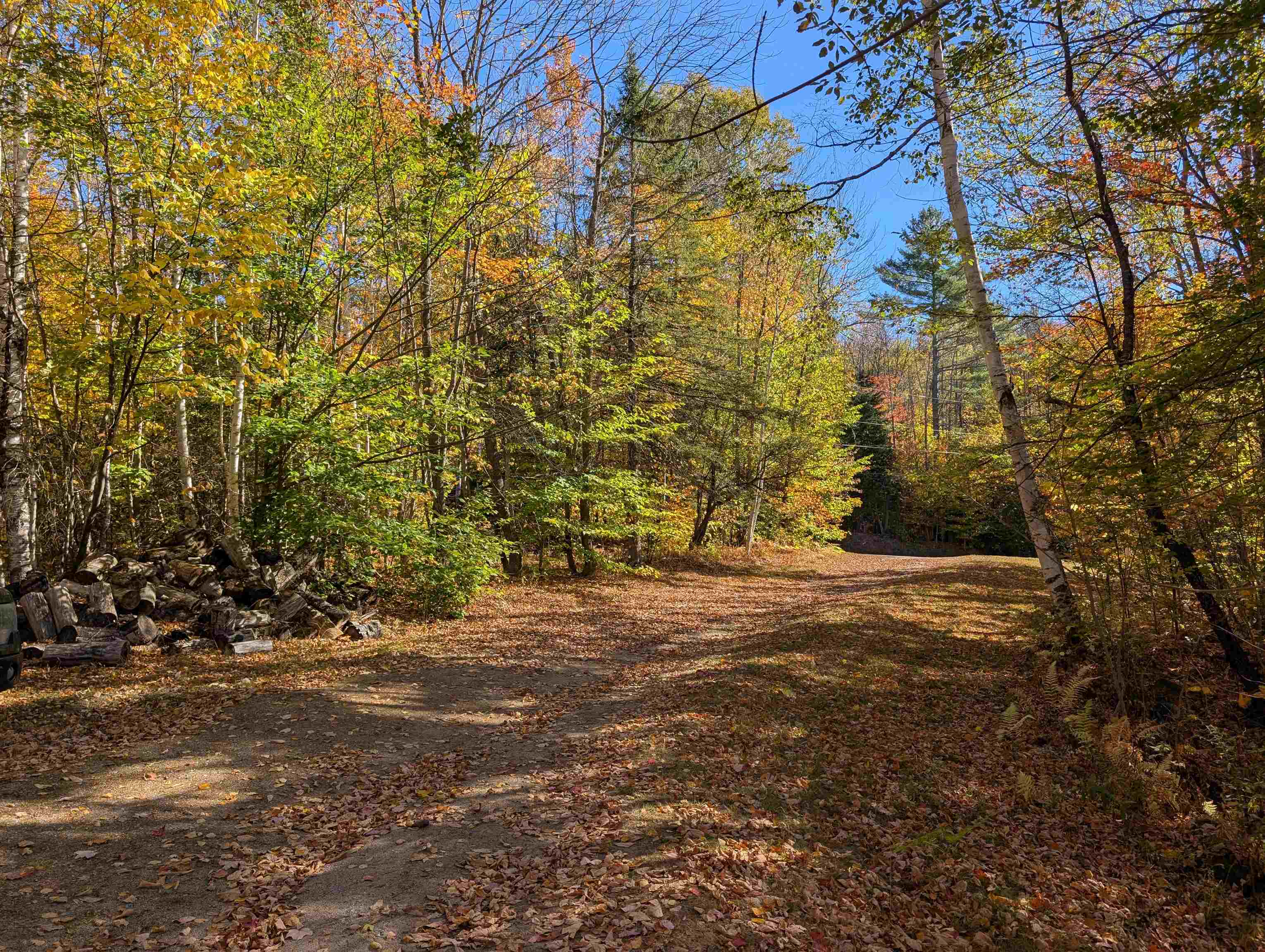 869 Lost Nation Road Property Photo 56