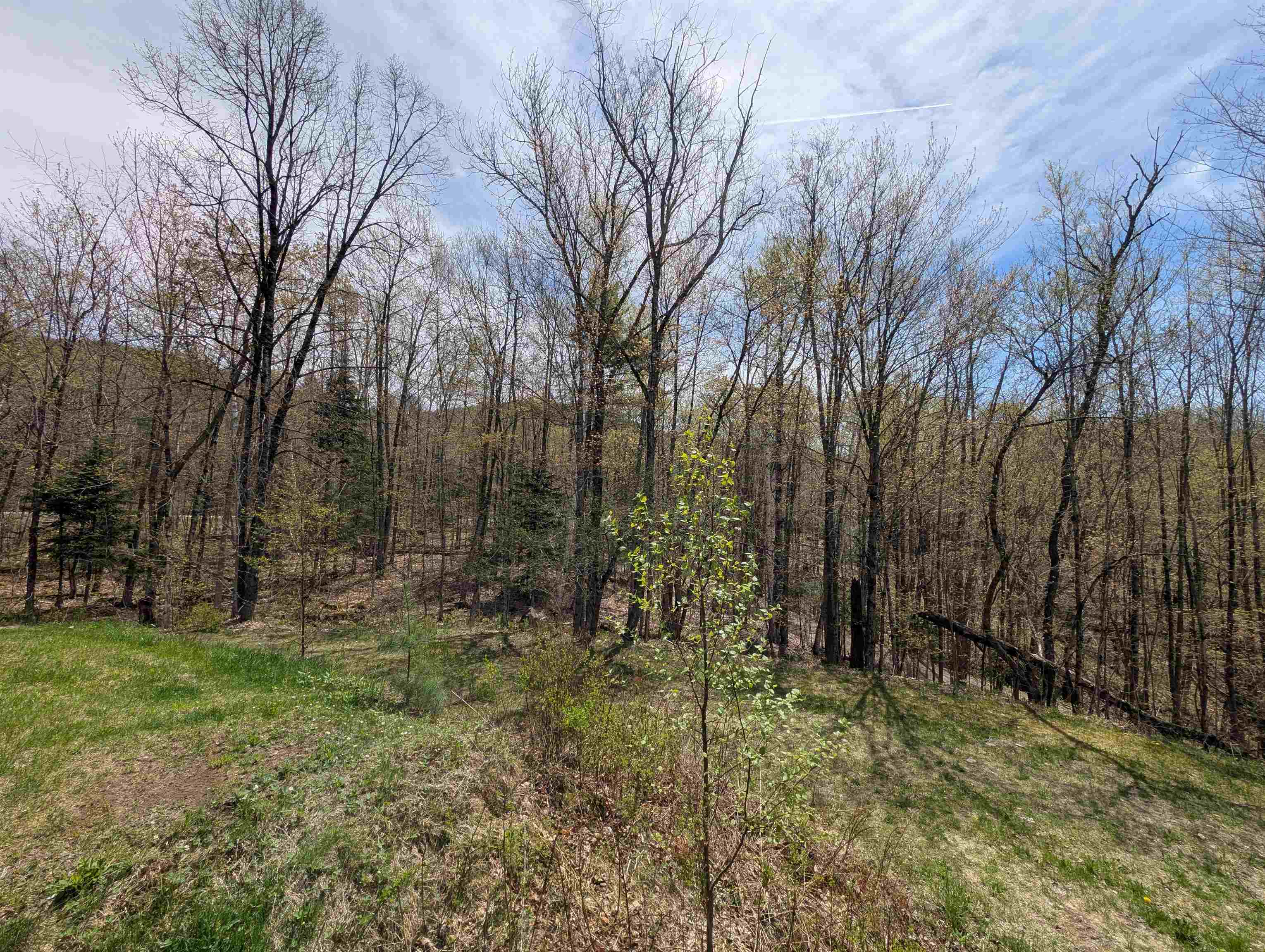 869 Lost Nation Road Property Photo 57