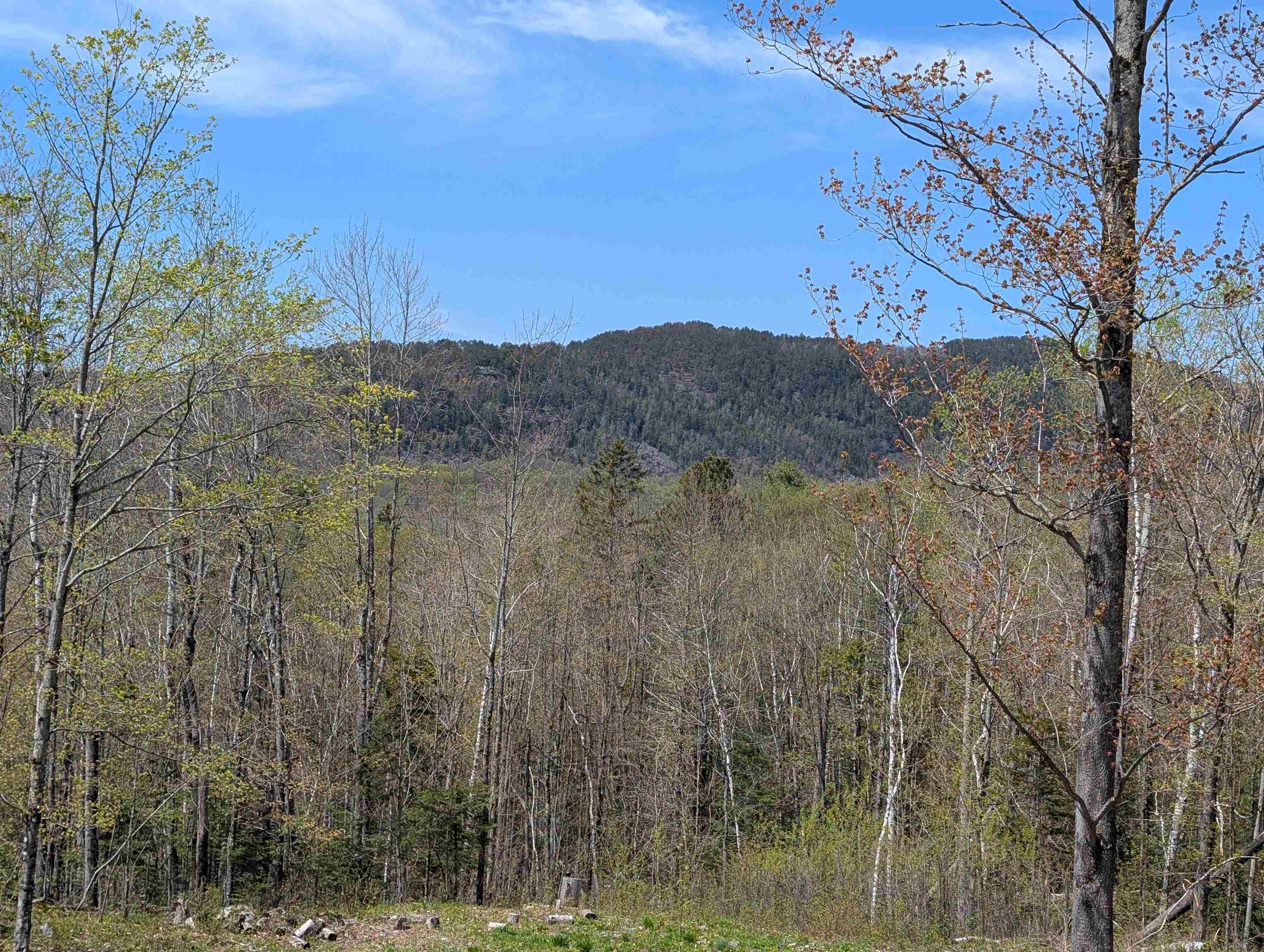 869 Lost Nation Road Property Photo 58