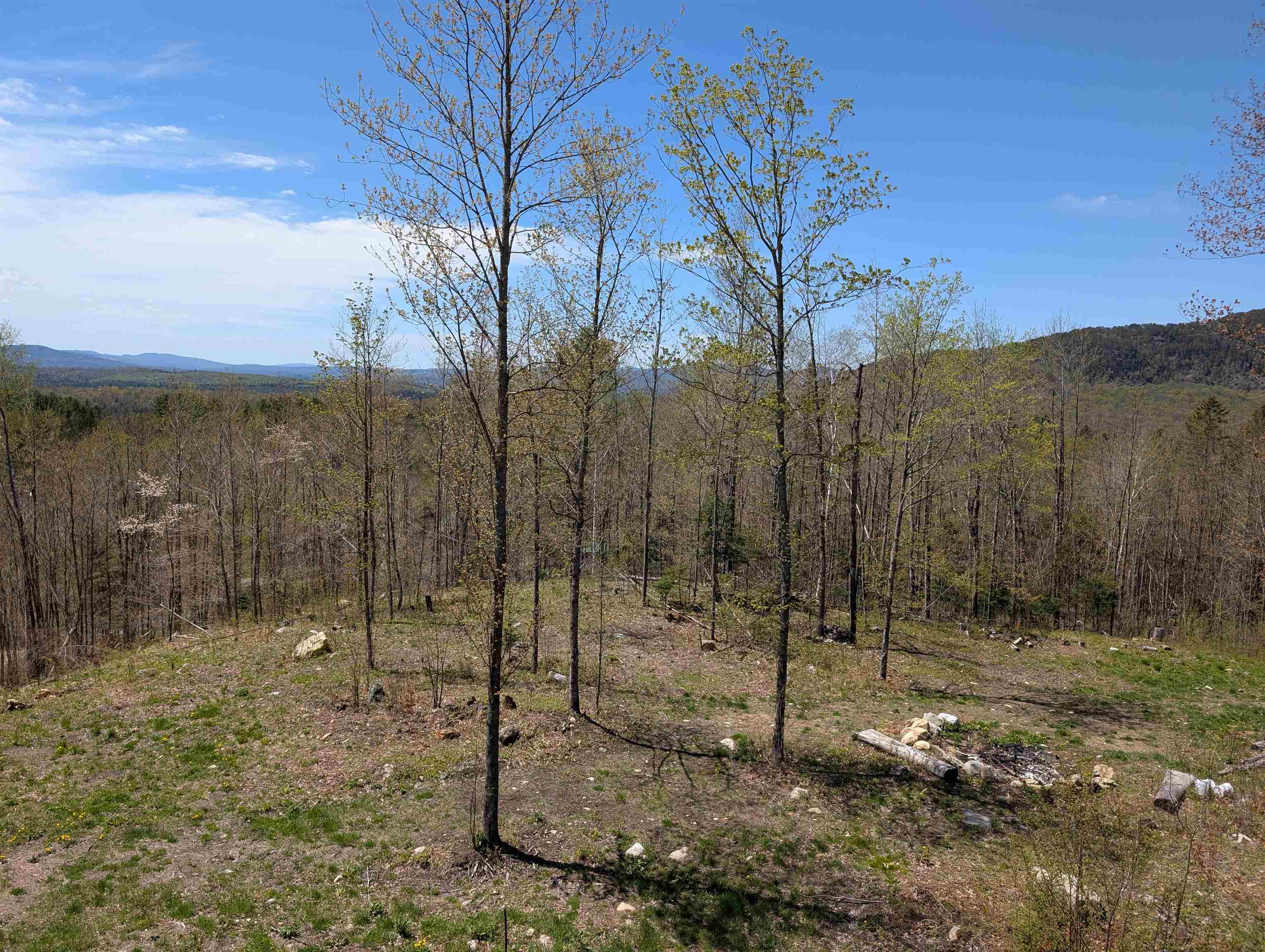 869 Lost Nation Road Property Photo 59
