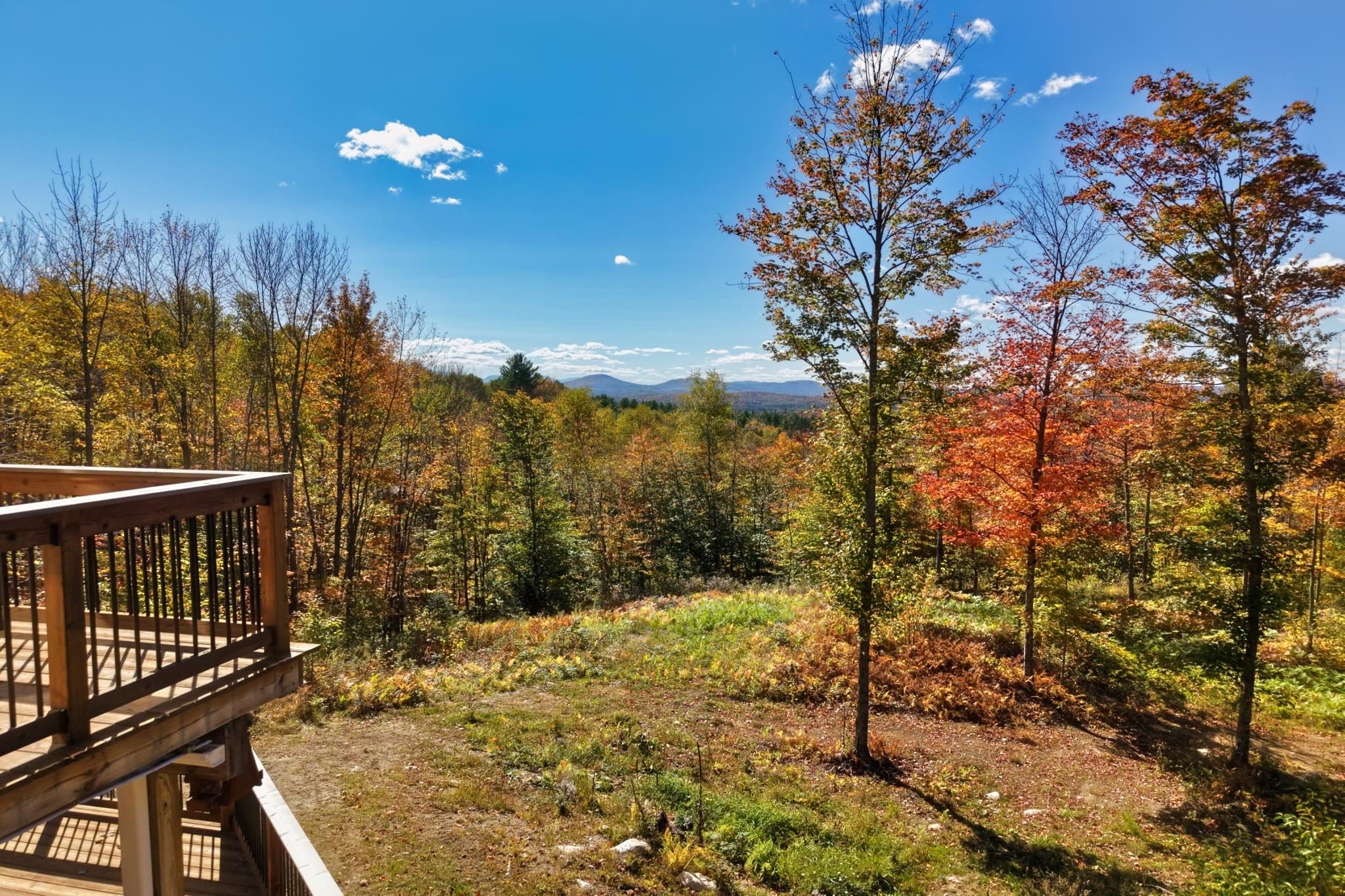 869 Lost Nation Road Property Photo 60