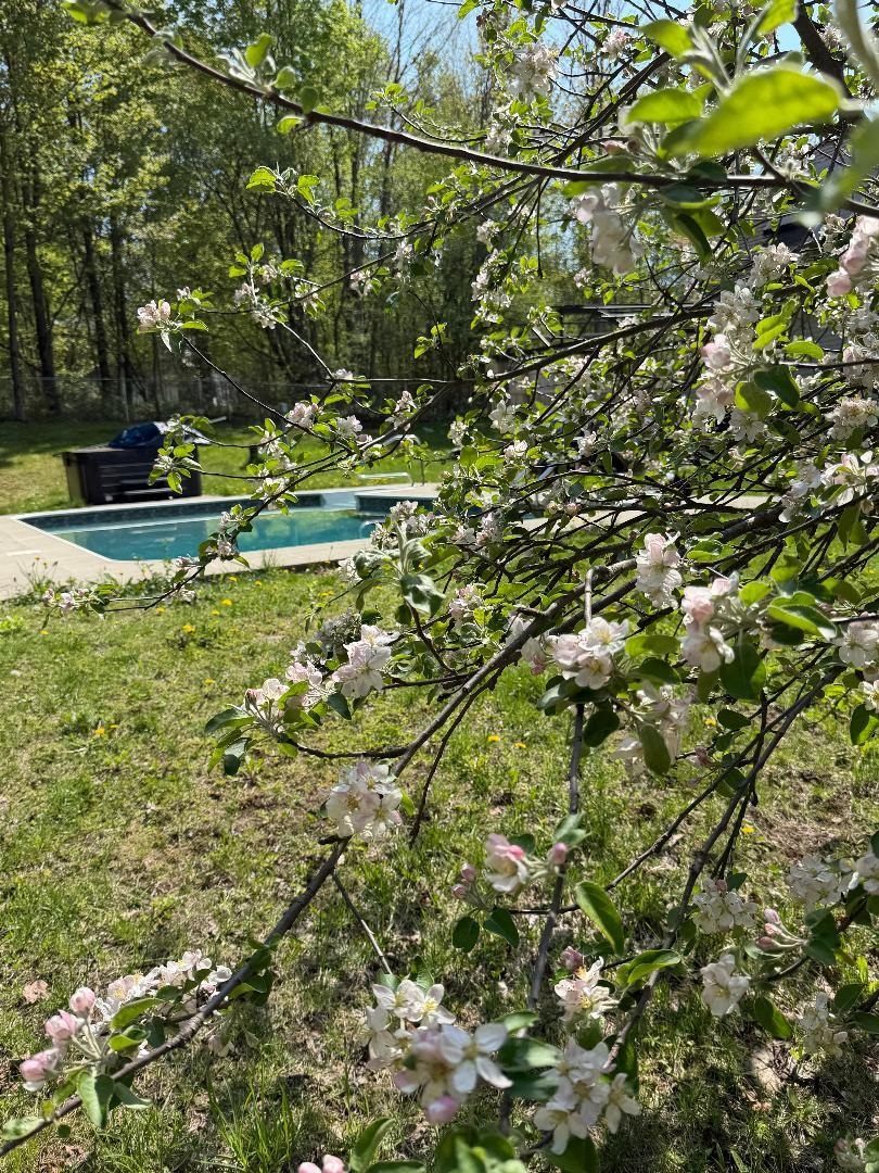 50 Gaudette Farm Road Property Photo 19