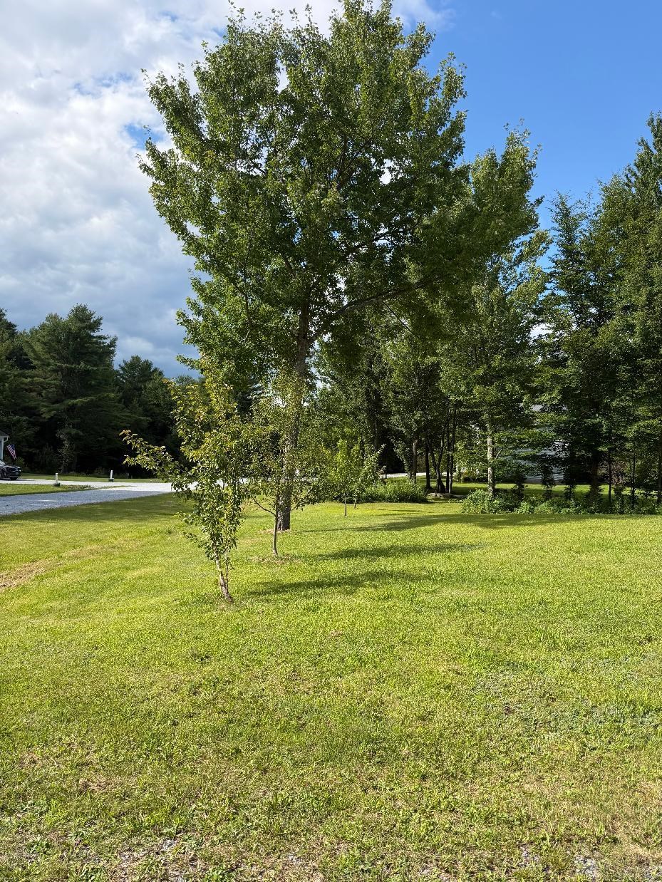 50 Gaudette Farm Road Property Photo 23