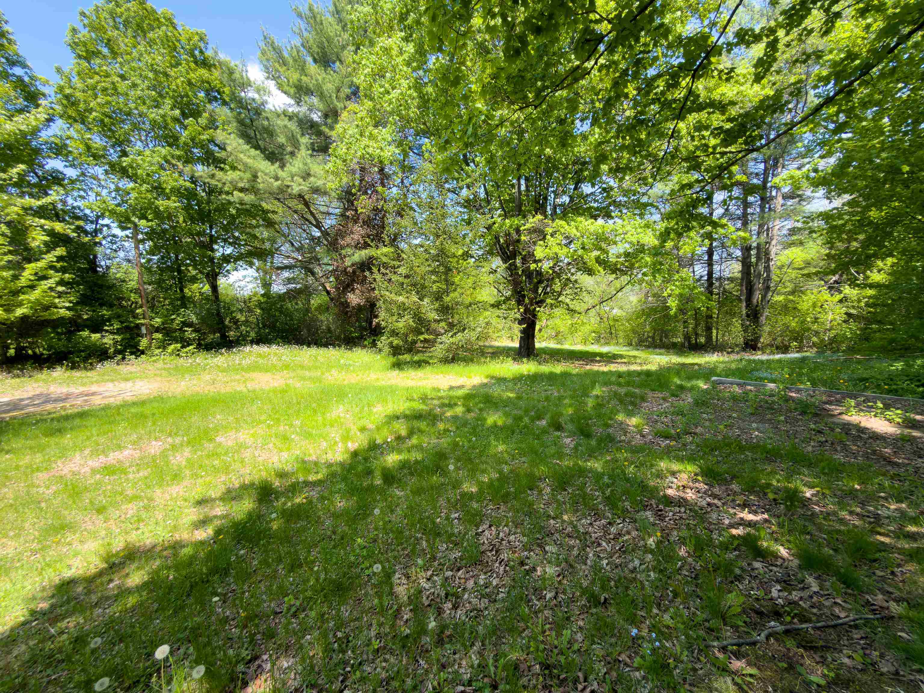 131 Grove Street Property Photo 41