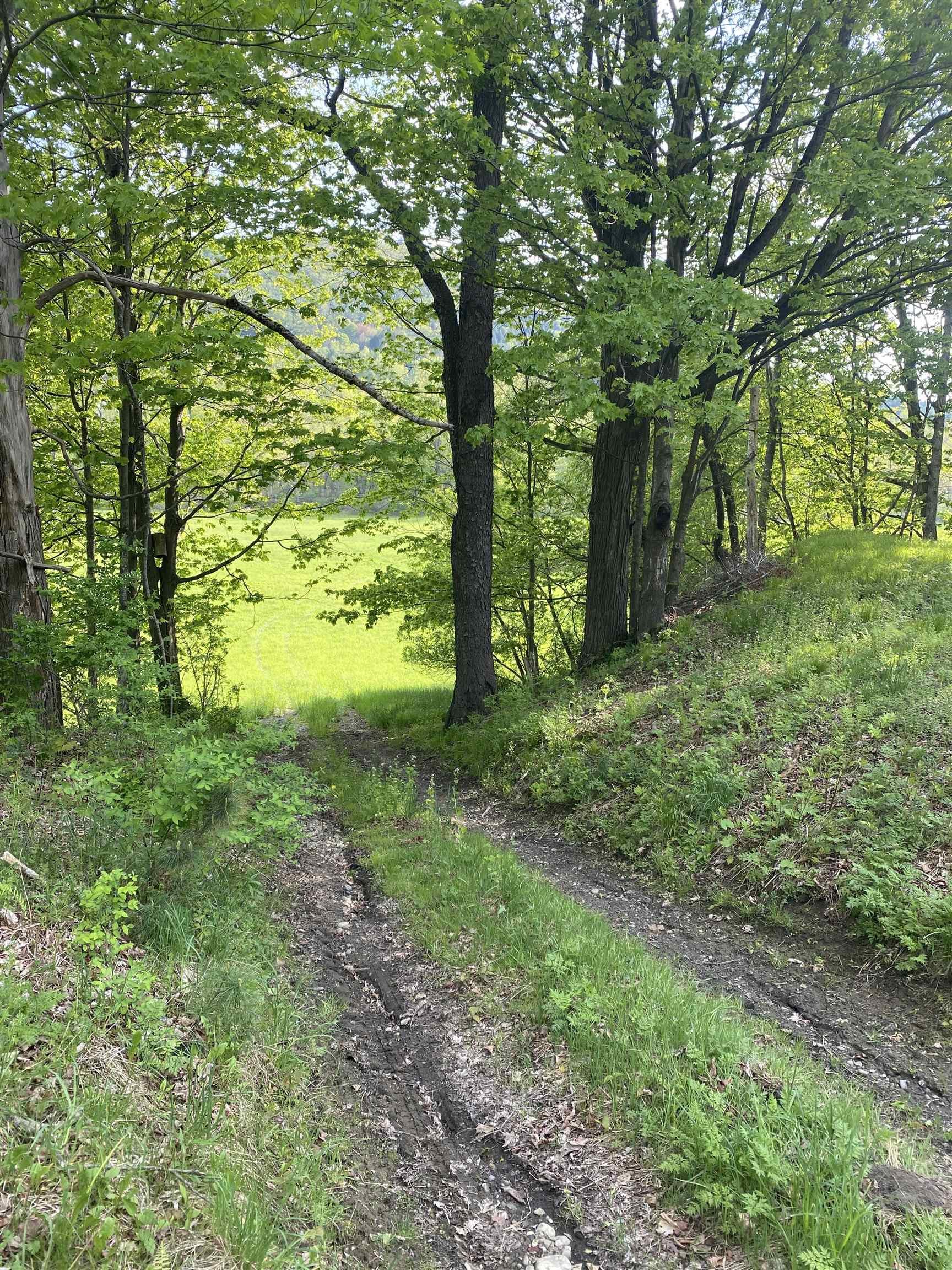 2840 Vt Route 14 Property Photo 3