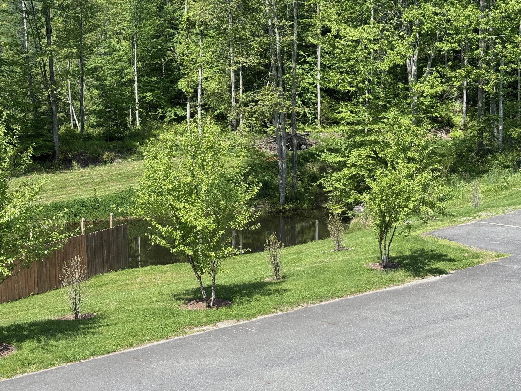 2366 Mountain Road Property Photo 6