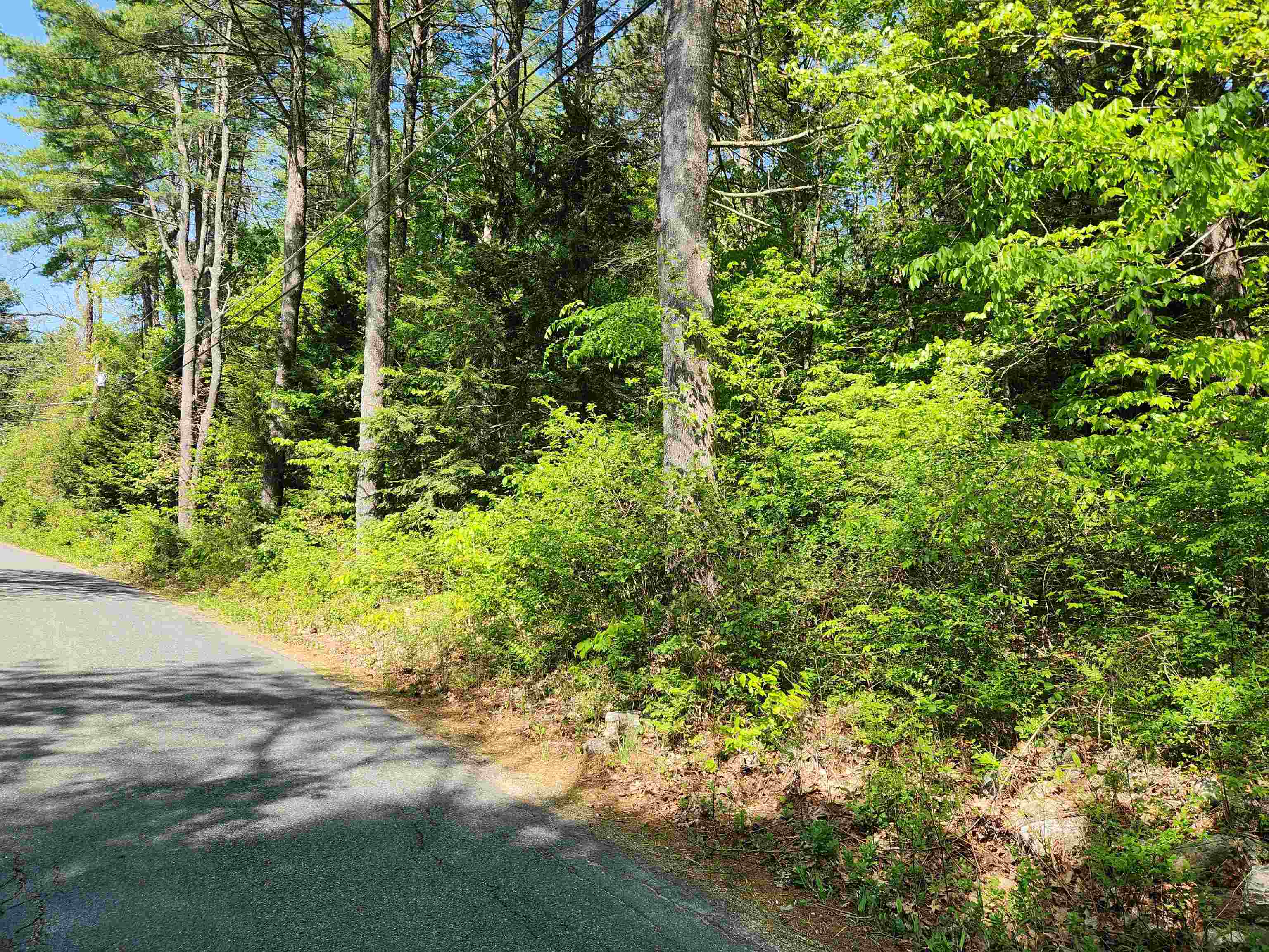 0 Cobble Hill Road Property Photo 1