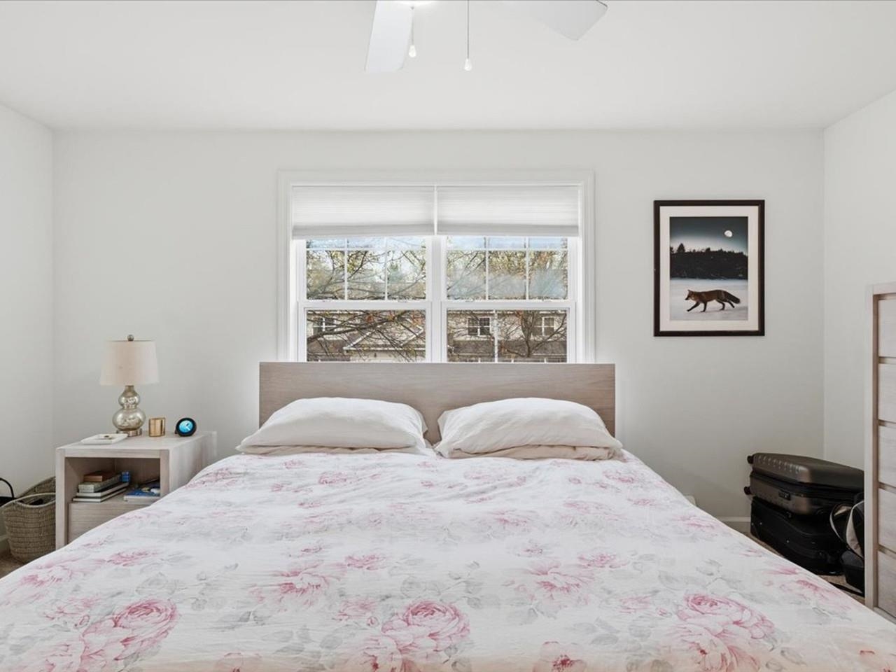 4 Marion Avenue Property Photo 17