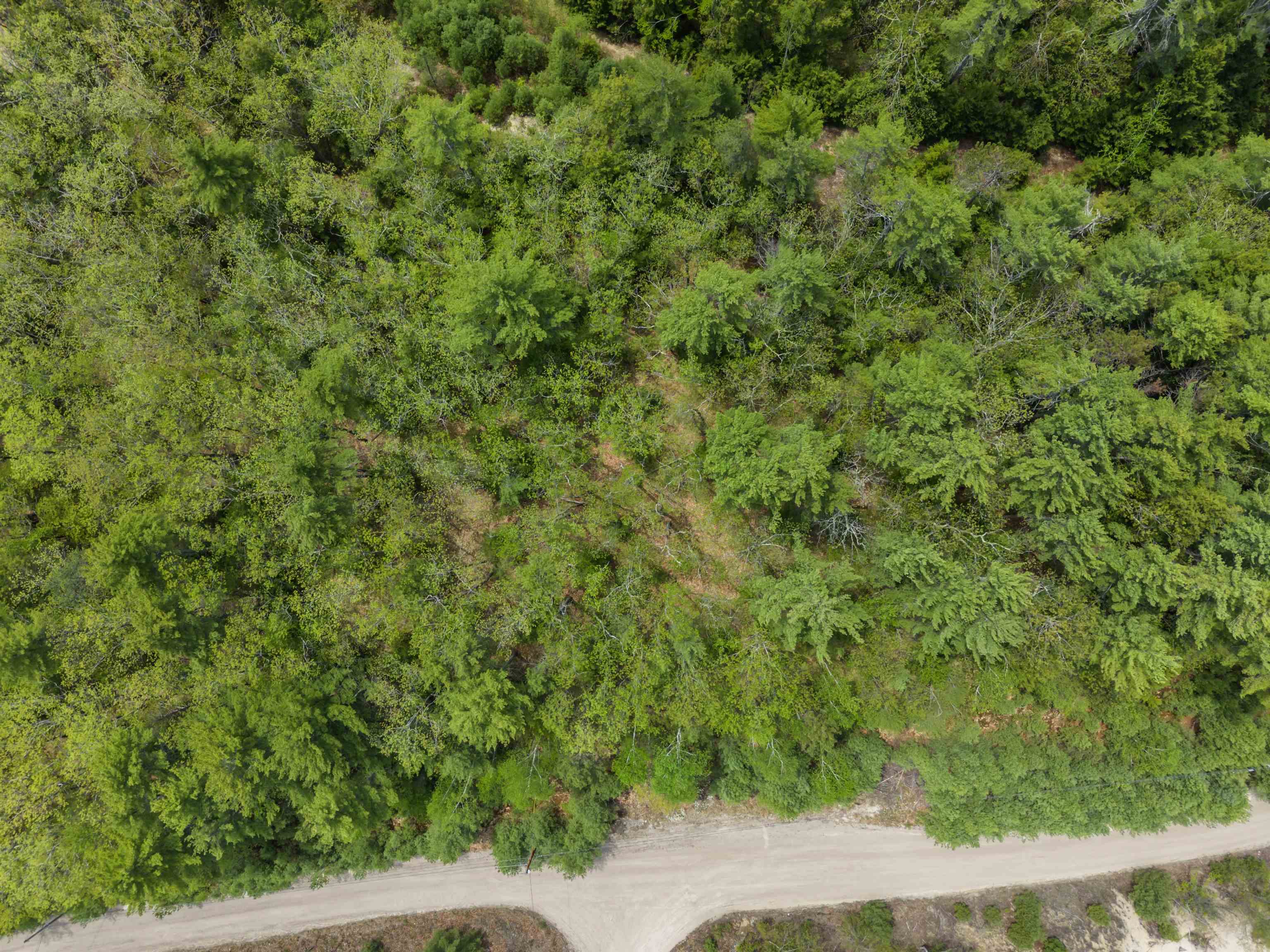 Lot 15 Pine Point Road Property Photo 1