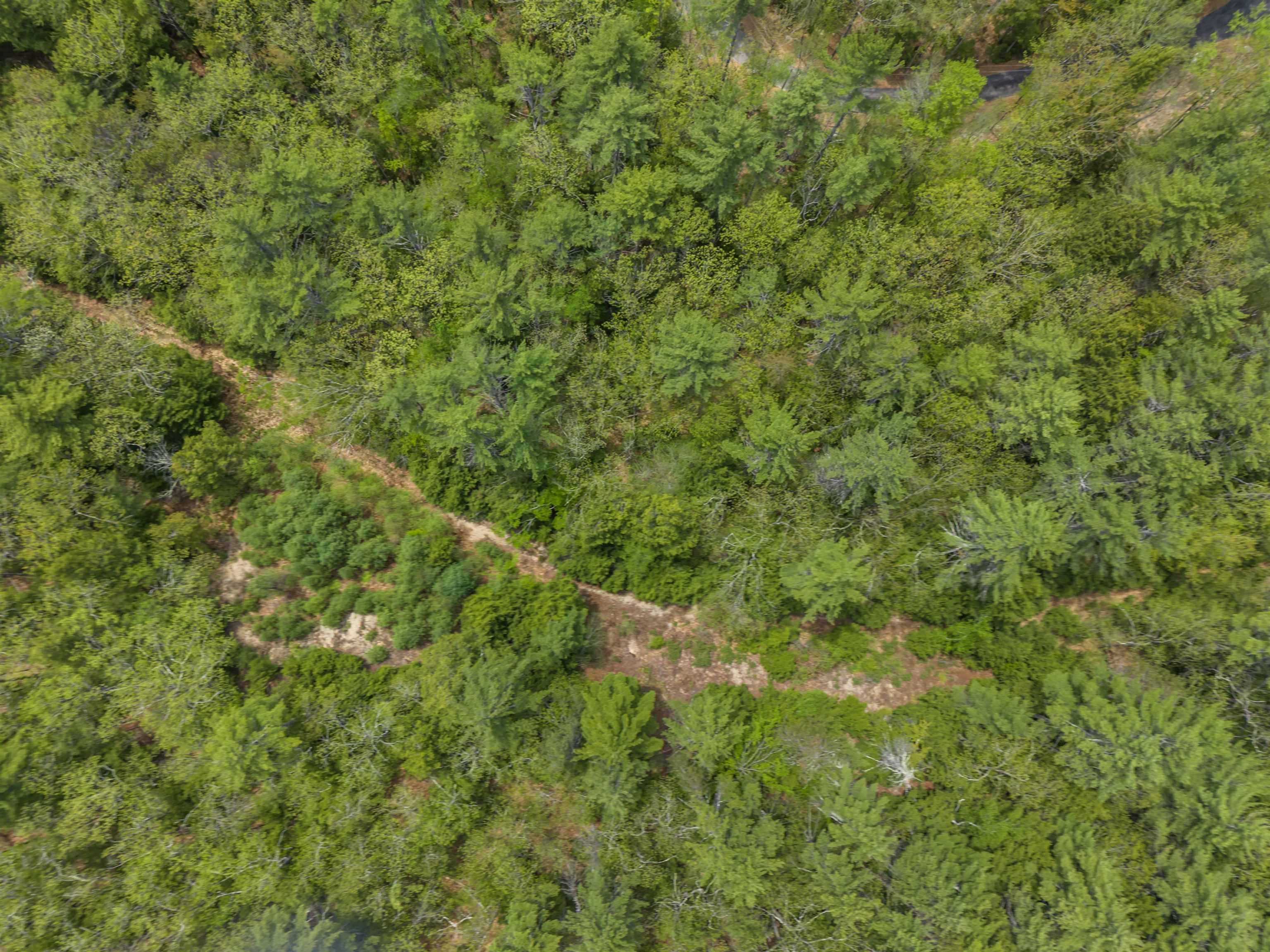 Lot 15 Pine Point Road Property Photo 3