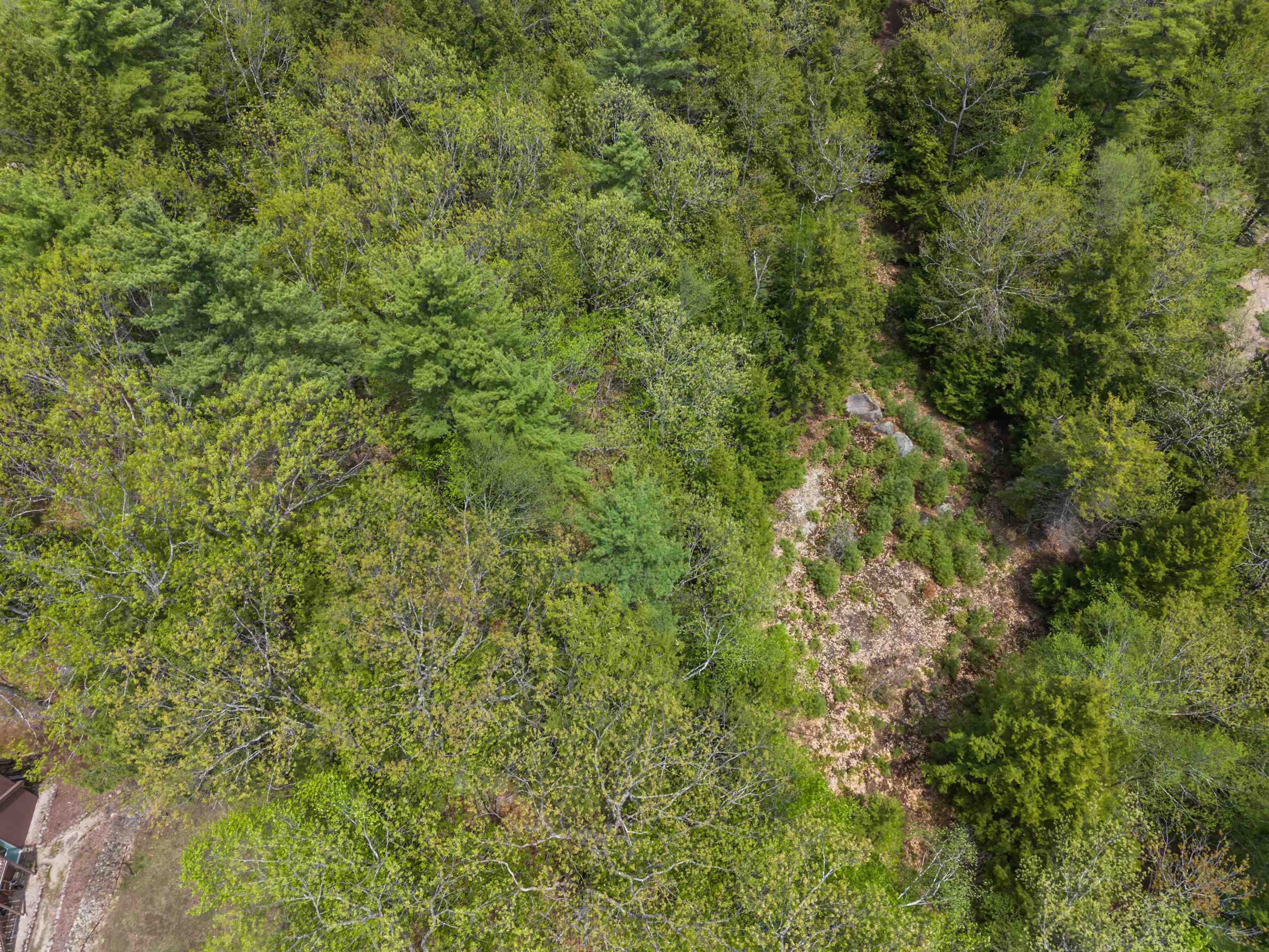 Lot 15 Pine Point Road Property Photo 4