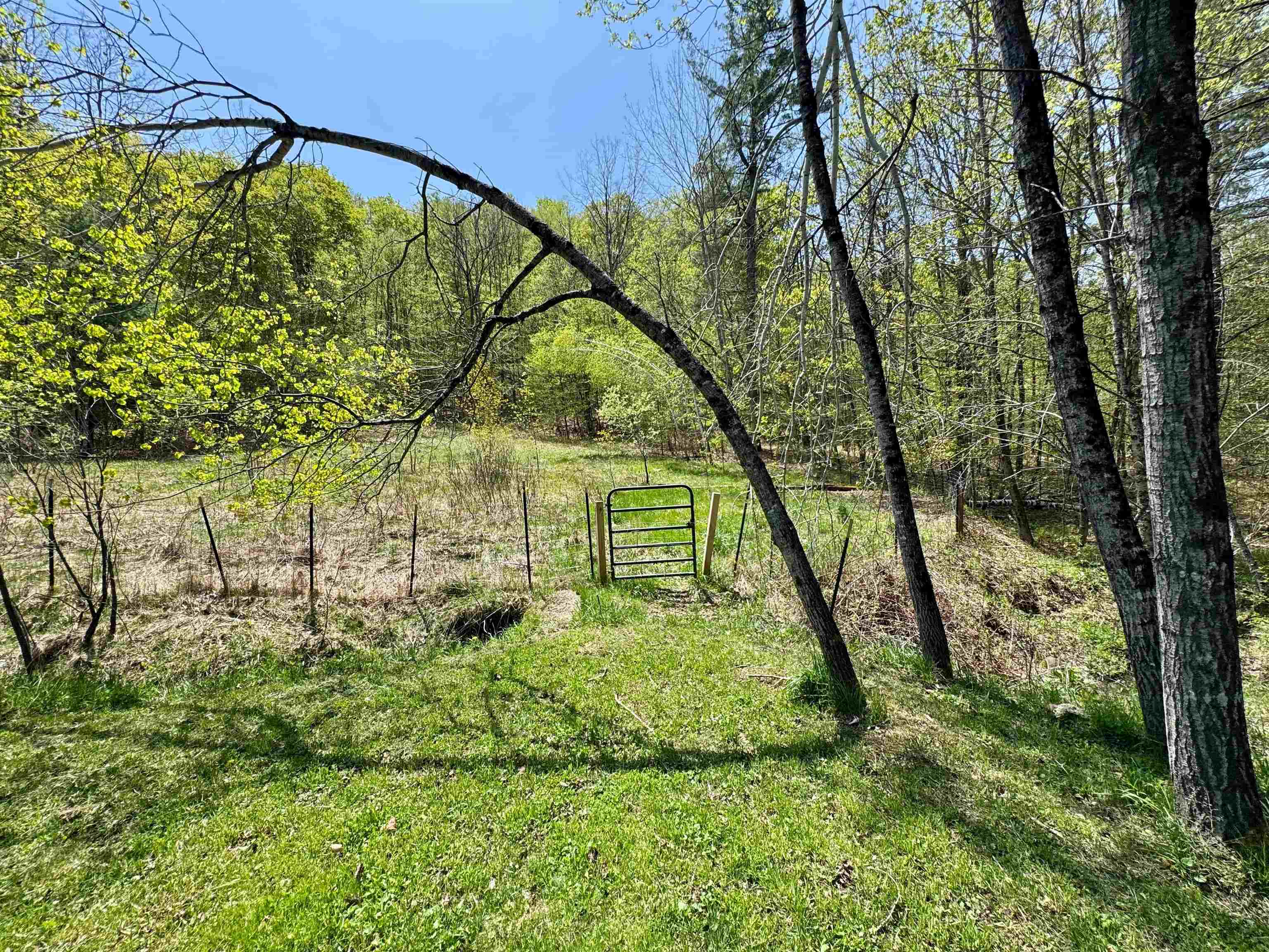 173 Kibling Hill Road Property Photo 13