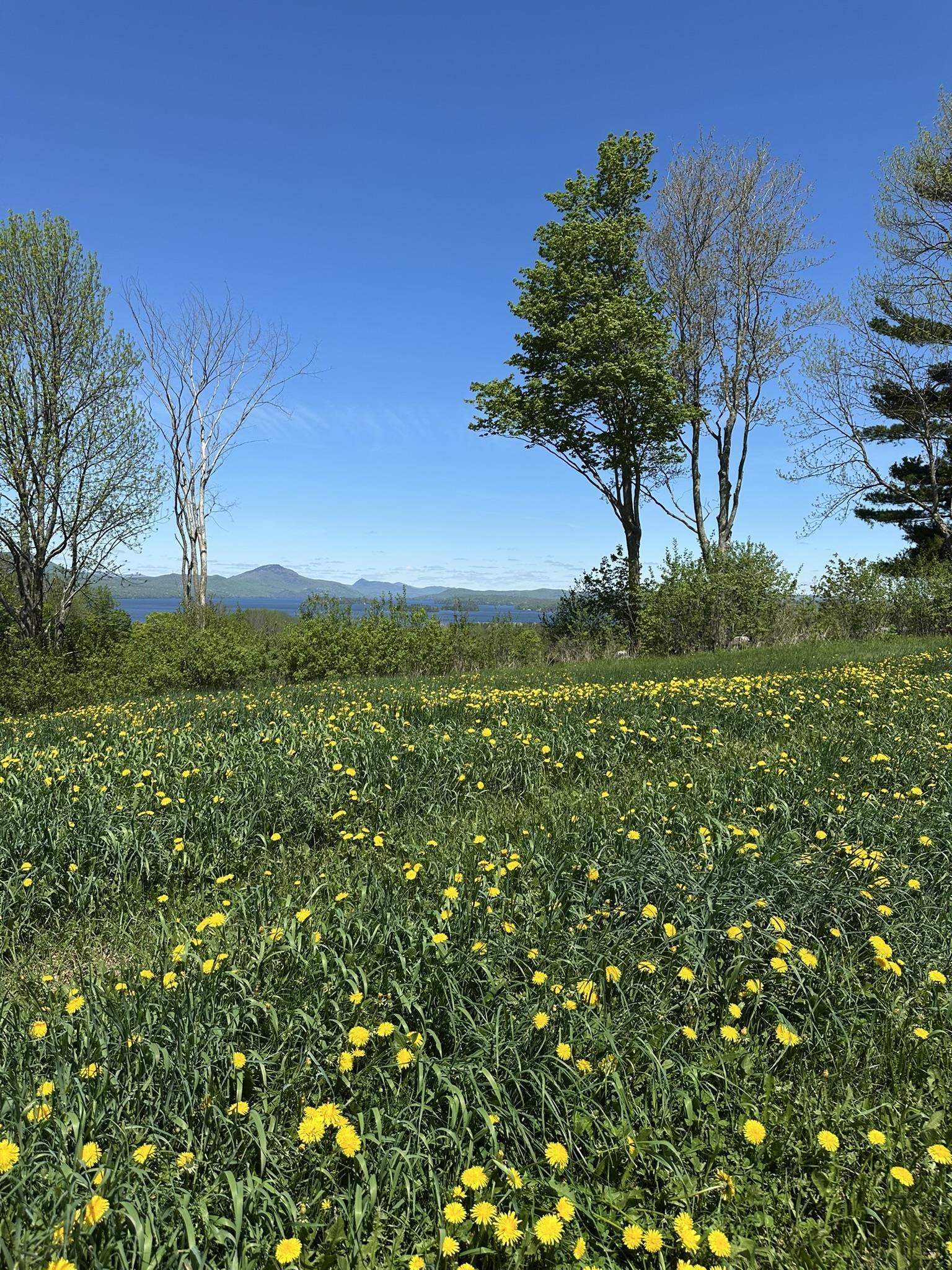 0 Shattuck Hill Road Property Photo 2