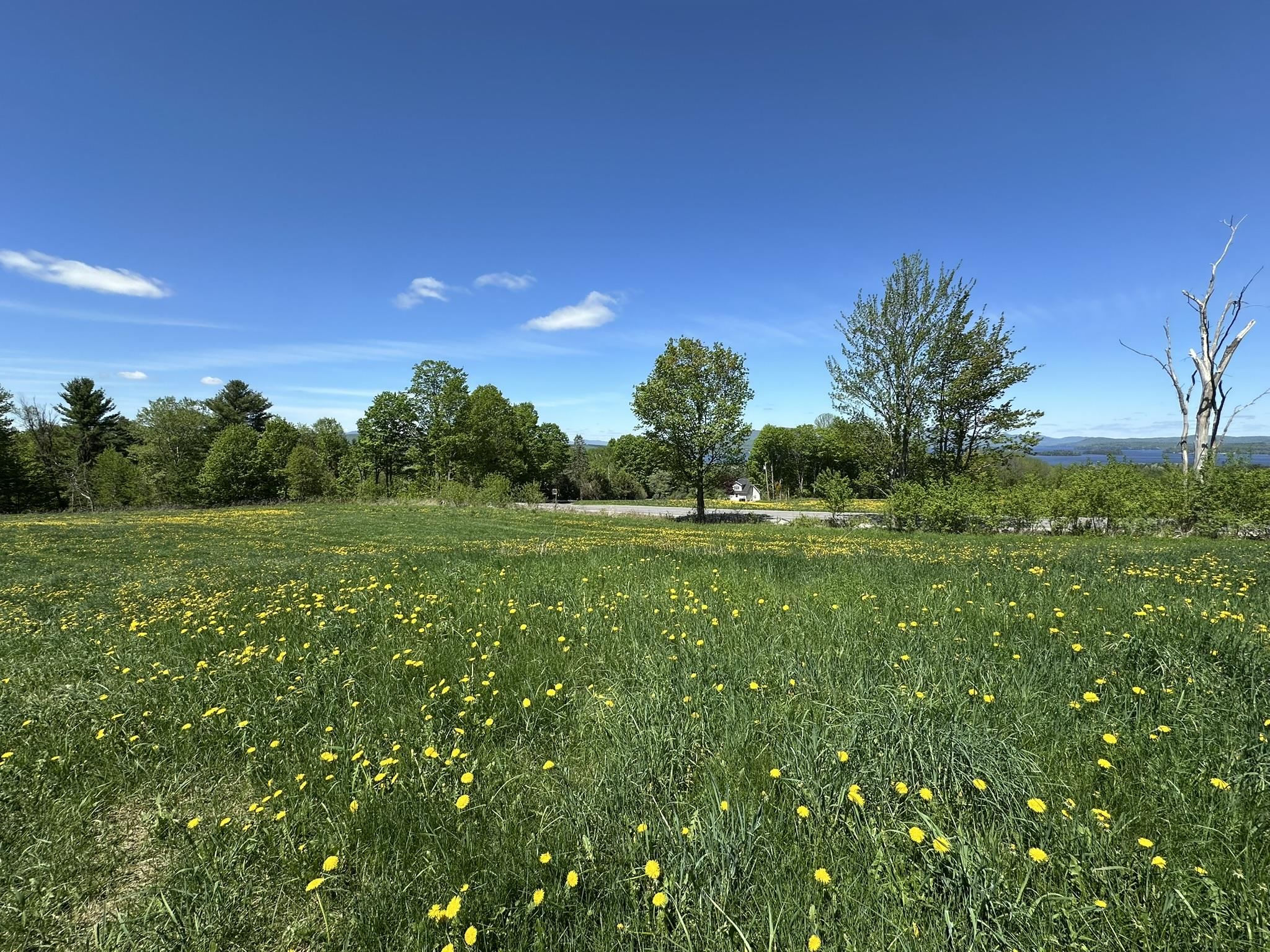 0 Shattuck Hill Road Property Photo 31