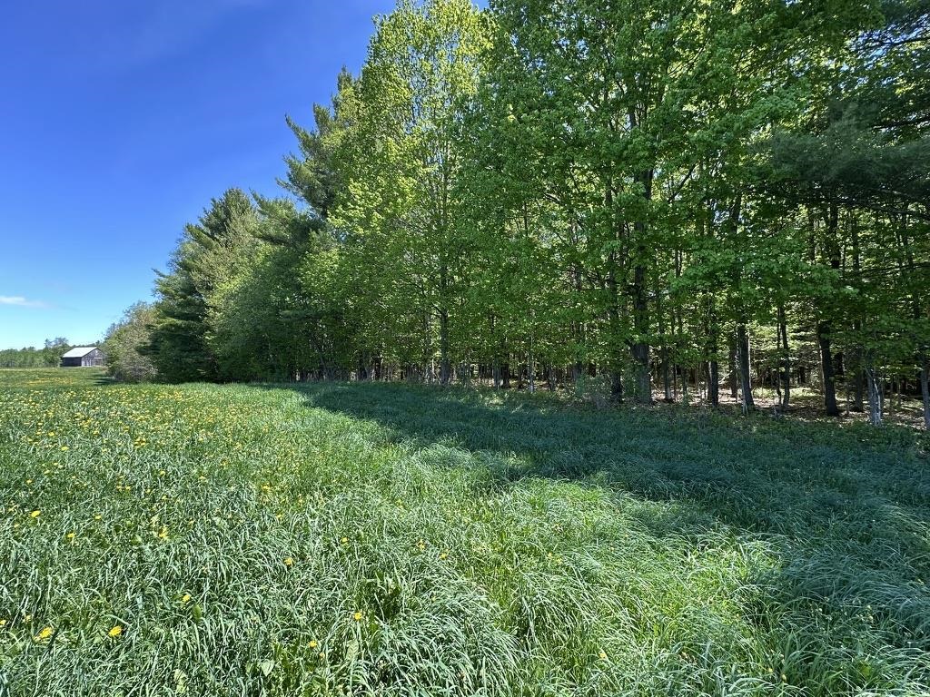 0 Shattuck Hill Road Property Photo 32