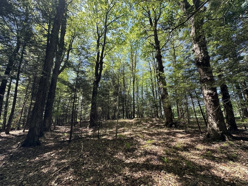 0 Shattuck Hill Road Property Photo 33