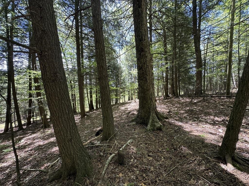 0 Shattuck Hill Road Property Photo 34