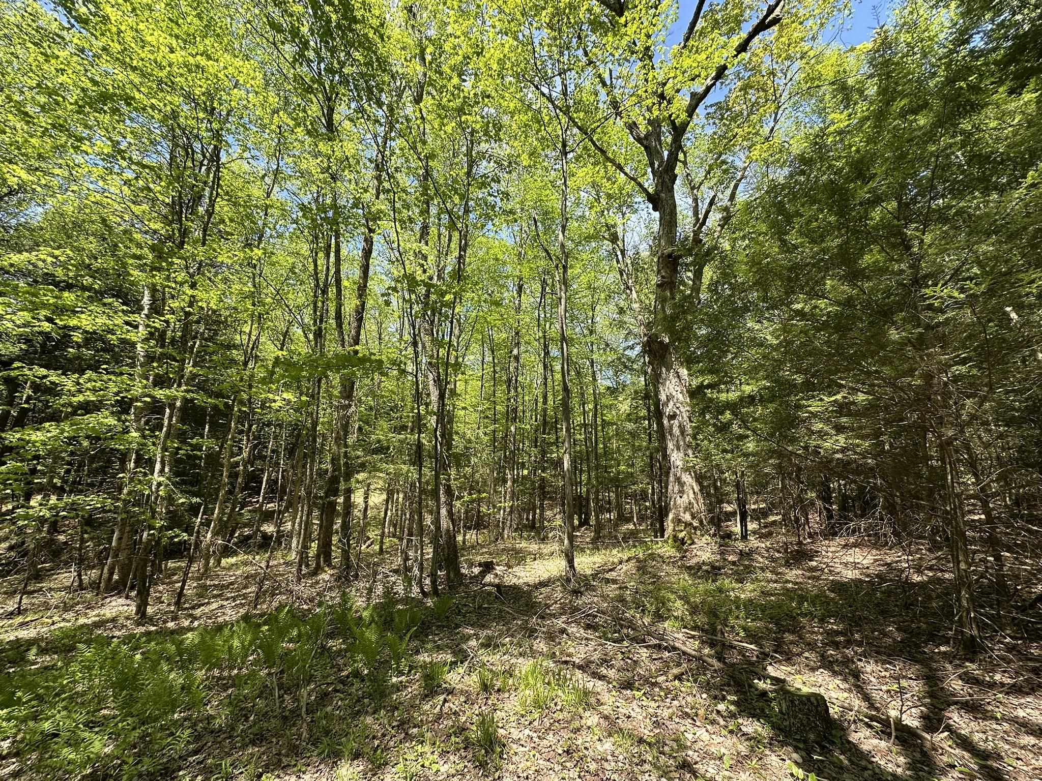 0 Shattuck Hill Road Property Photo 35