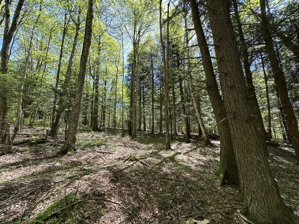 0 Shattuck Hill Road Property Photo 36