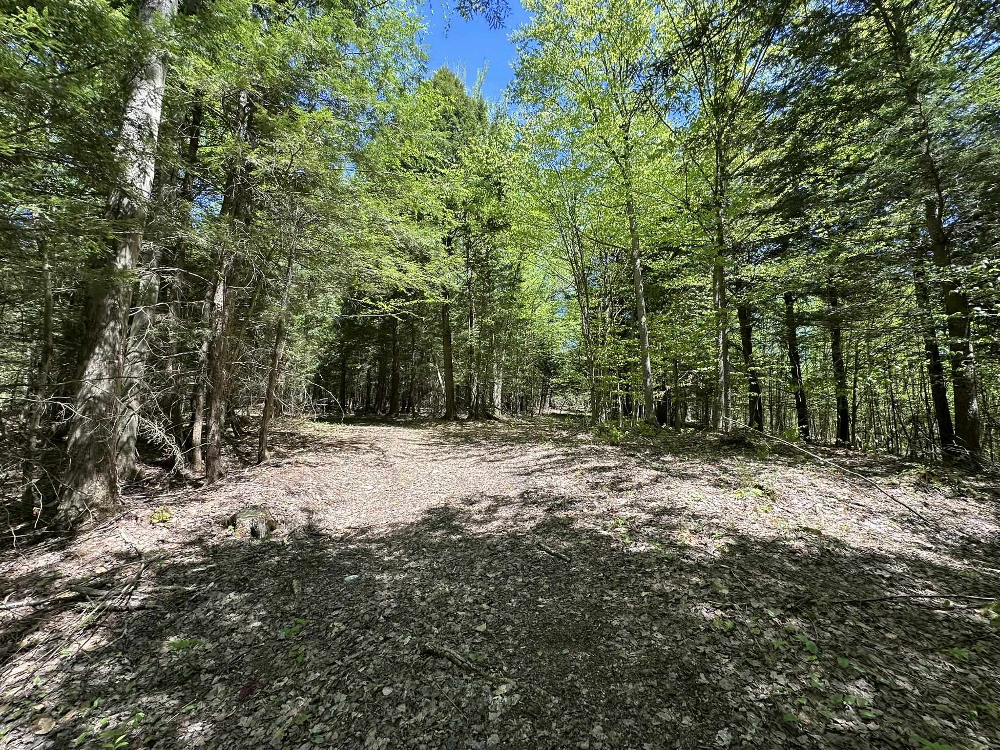 0 Shattuck Hill Road Property Photo 37