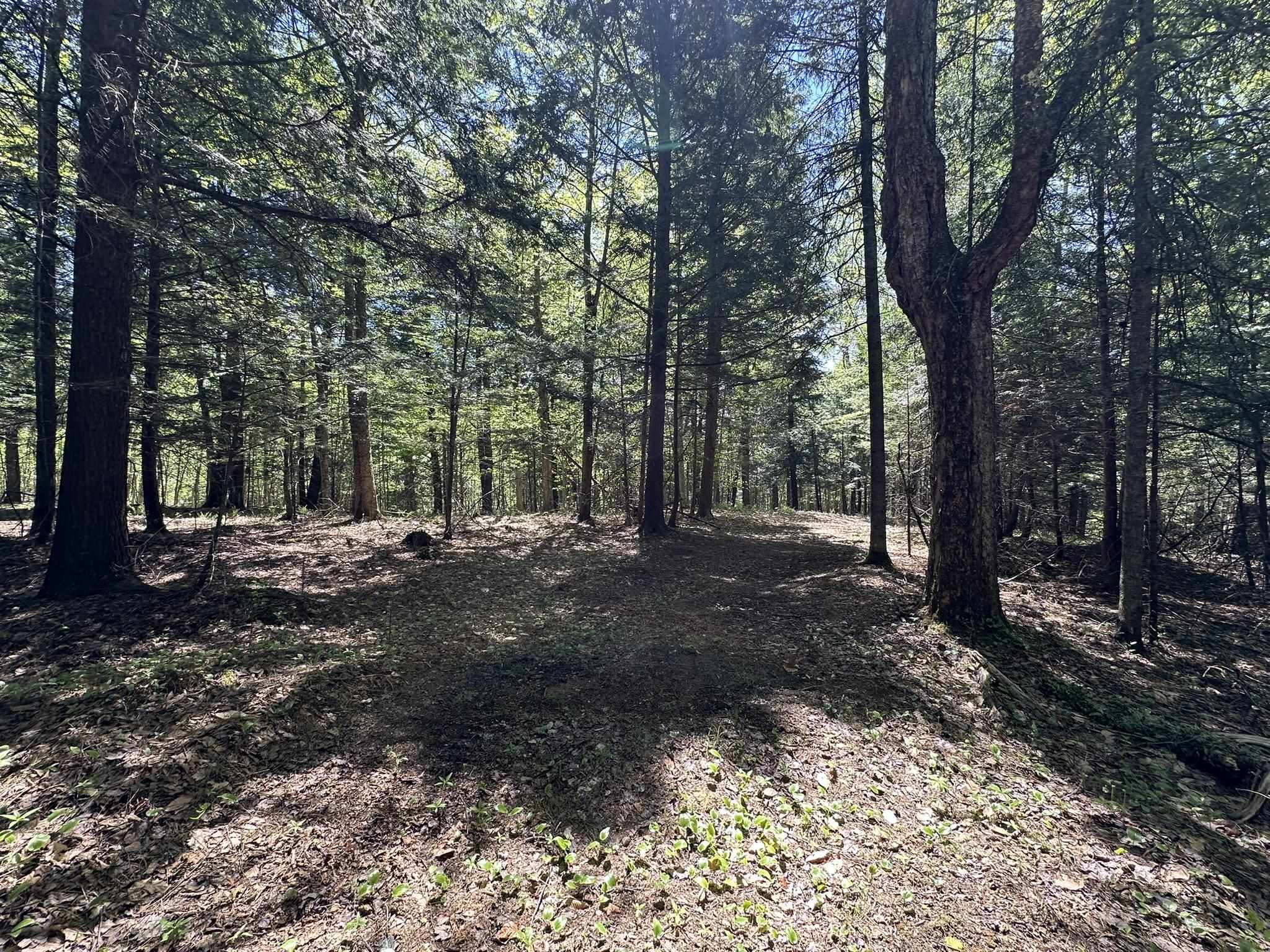 0 Shattuck Hill Road Property Photo 38