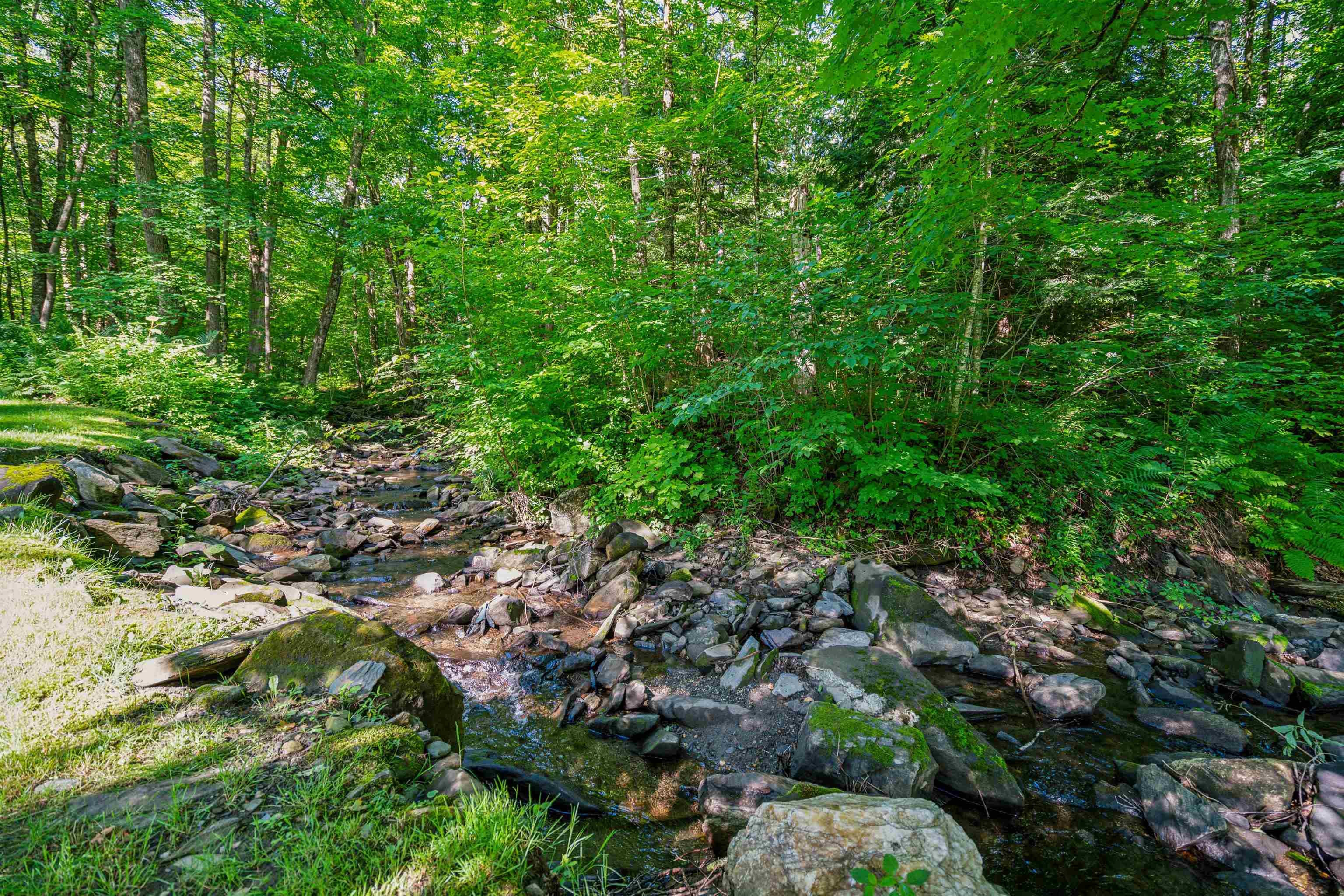 5685 Vt Route 12 Property Photo 53