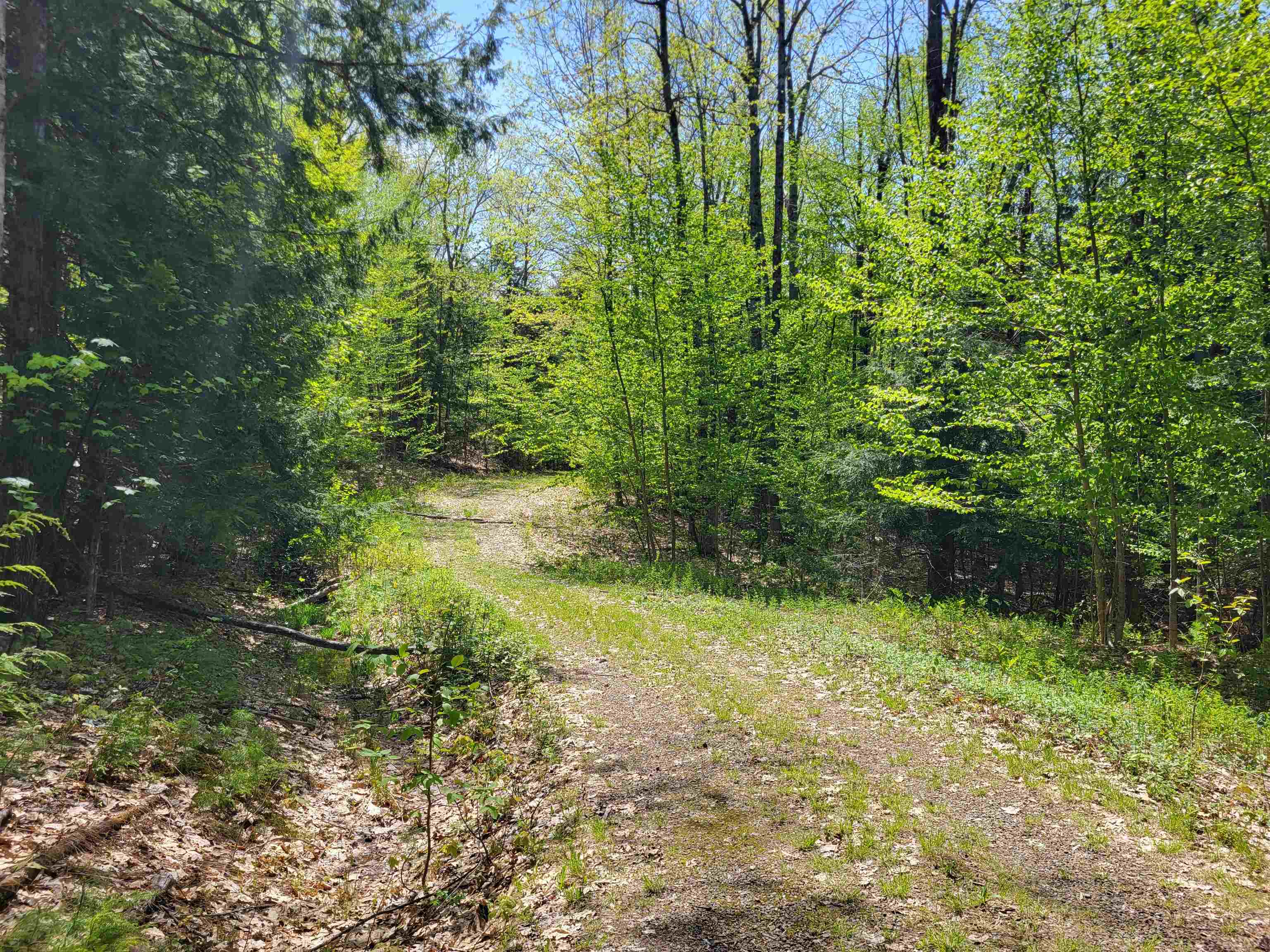 390 Mathews Road Property Photo 19