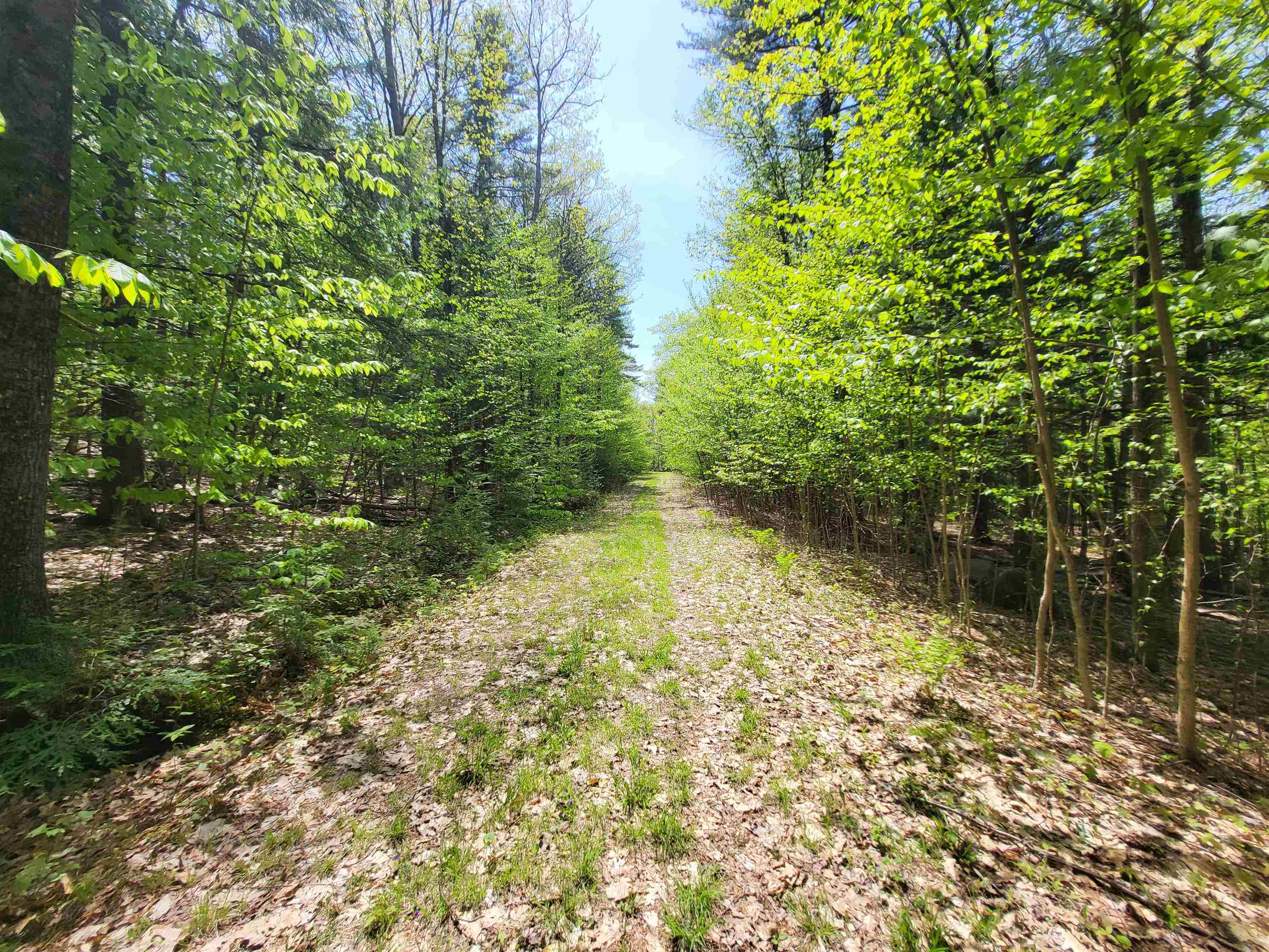 390 Mathews Road Property Photo 20