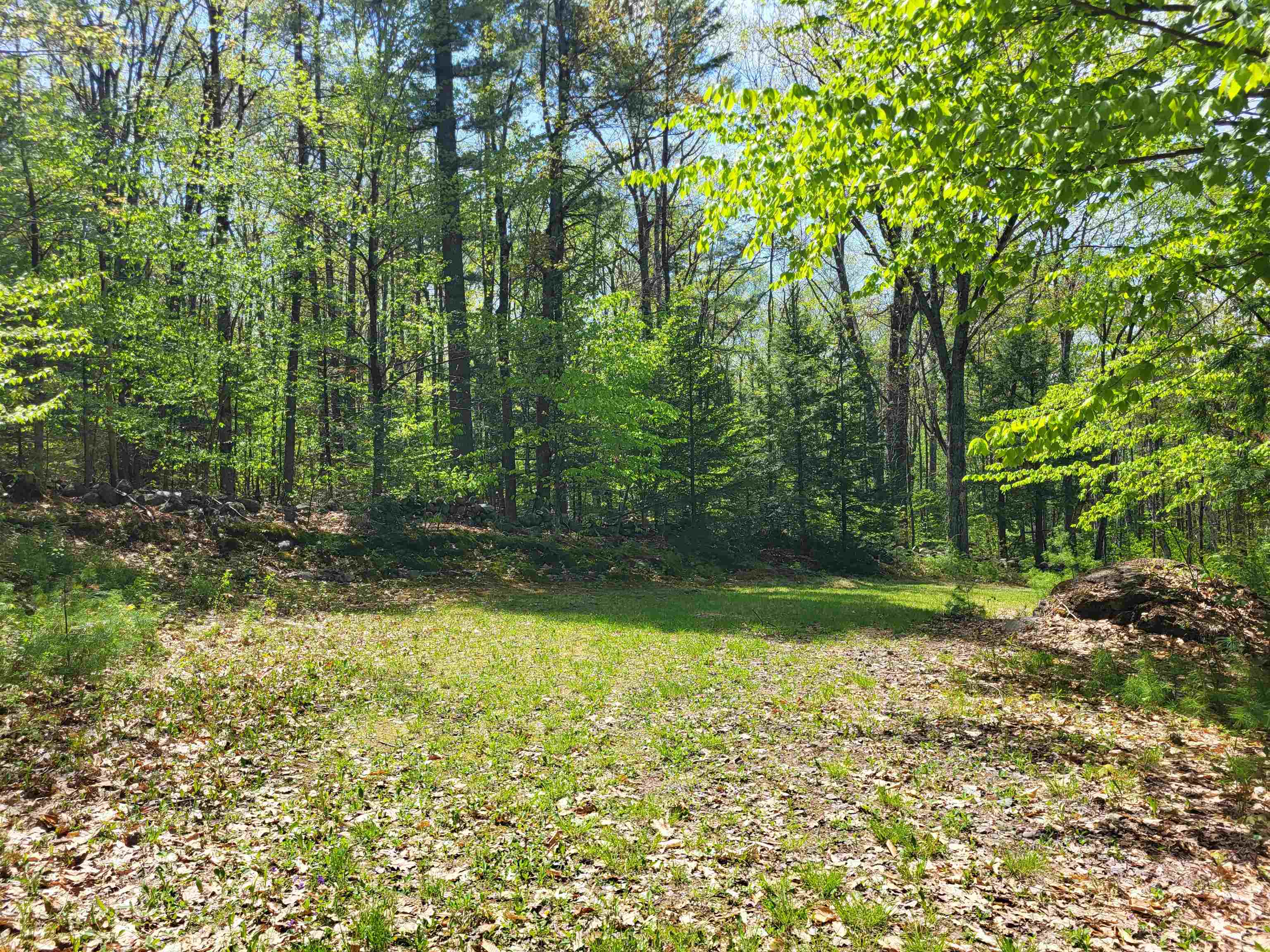 390 Mathews Road Property Photo 21