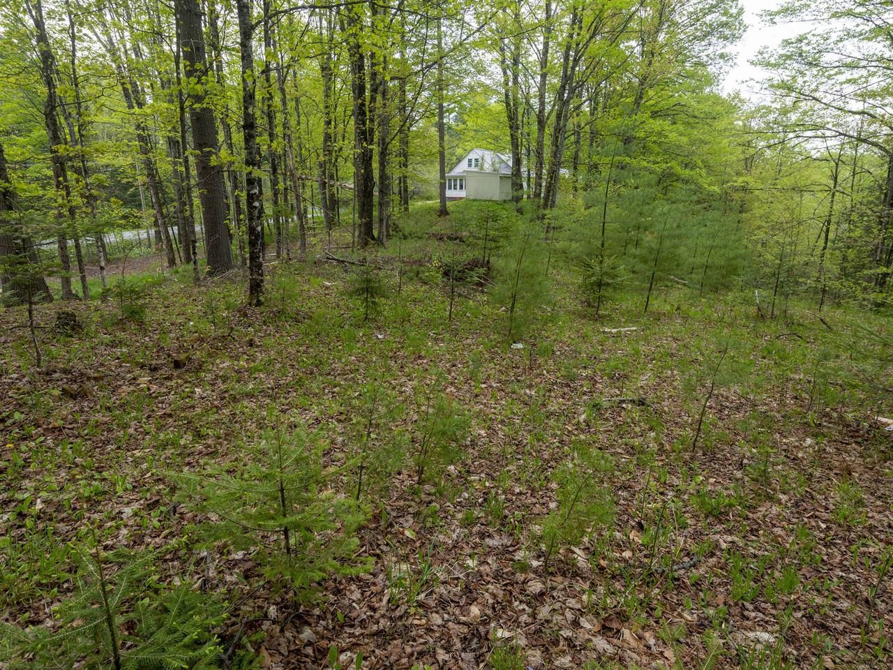 8913 County Road Property Photo 33