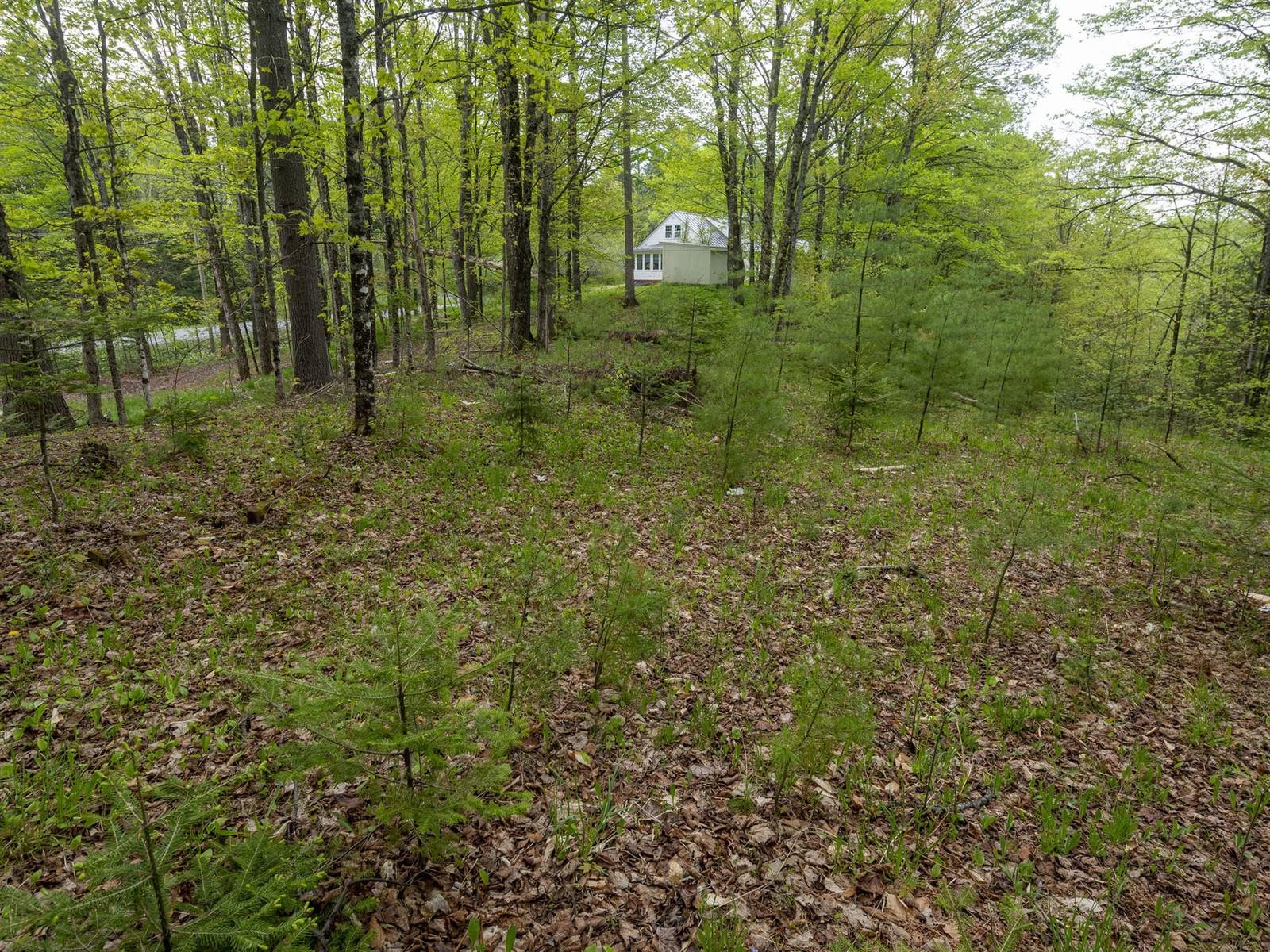8913 County Road Property Photo 35